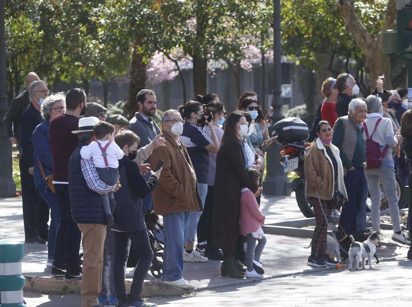 La marcha hípica en Córdoba por el 28-F, en fotografias.