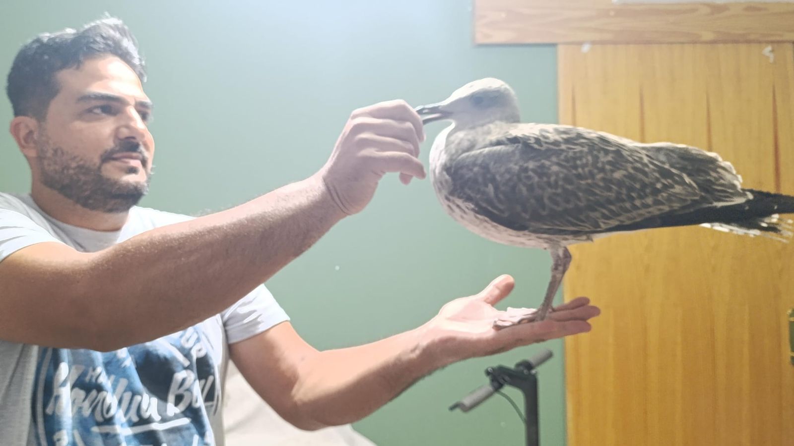 El ave junto al marido de Mari Carmen.