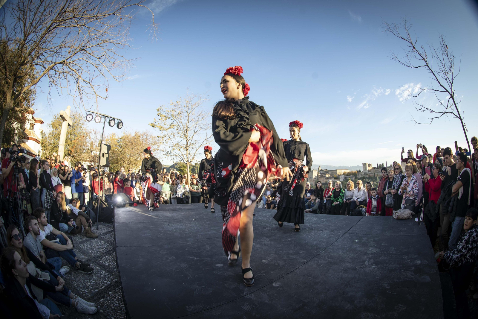 Granada celebra el Día del Flamenco, en imágenes