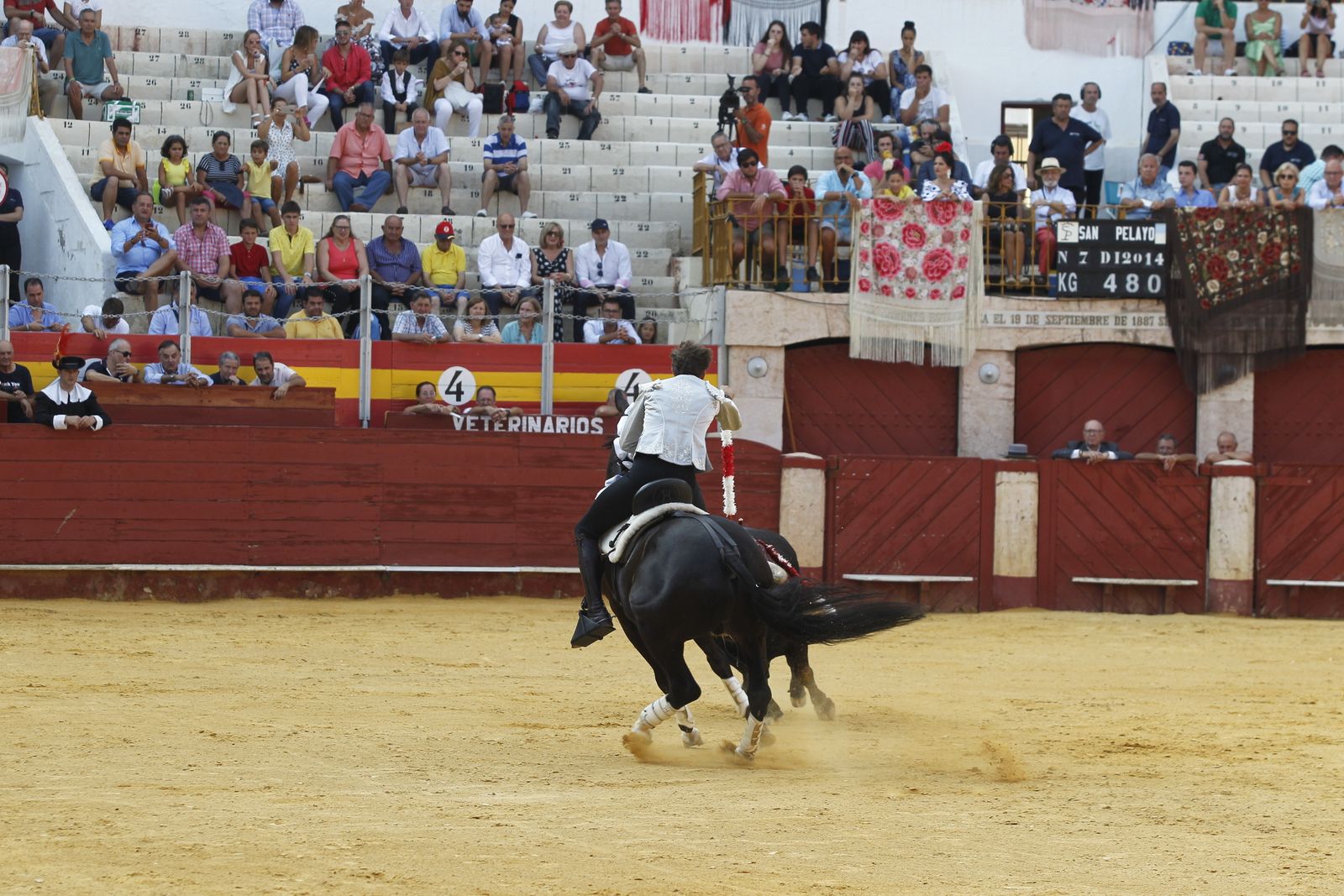 Fotogalería corrida de rejones. Feria de Almería 2019