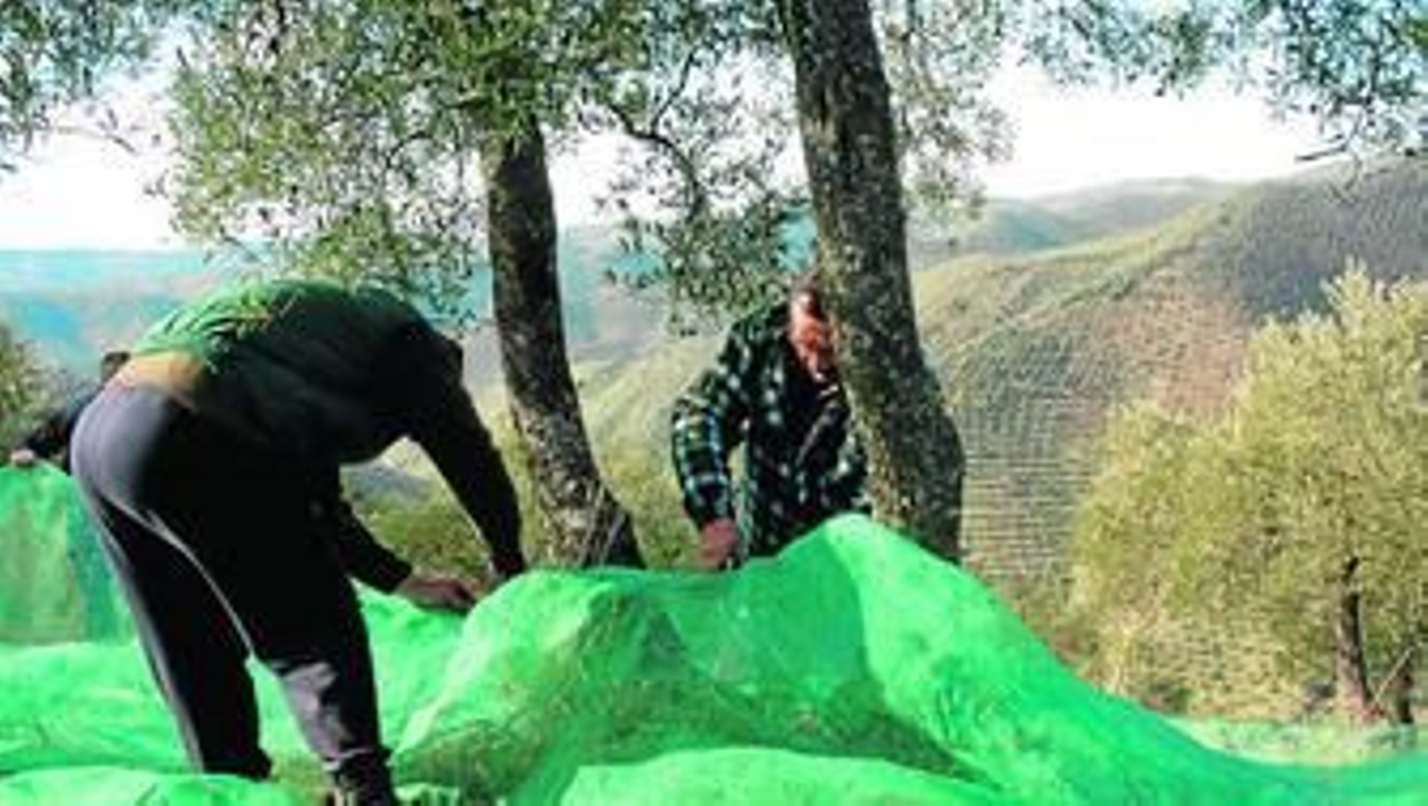 Aguilera y Medel, ayer en la presentación del informe.