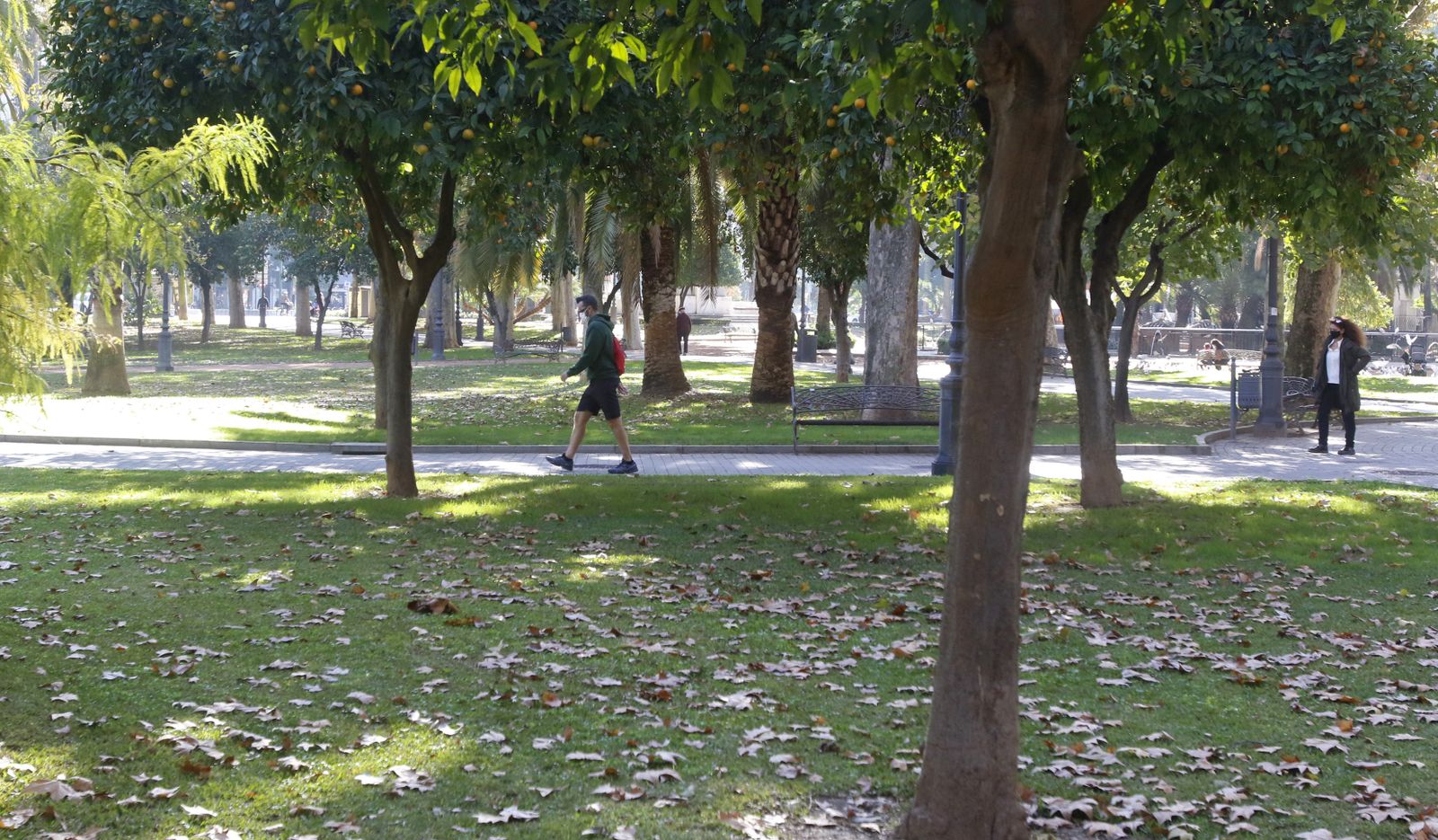El otoño en Córdoba, en fotografías
