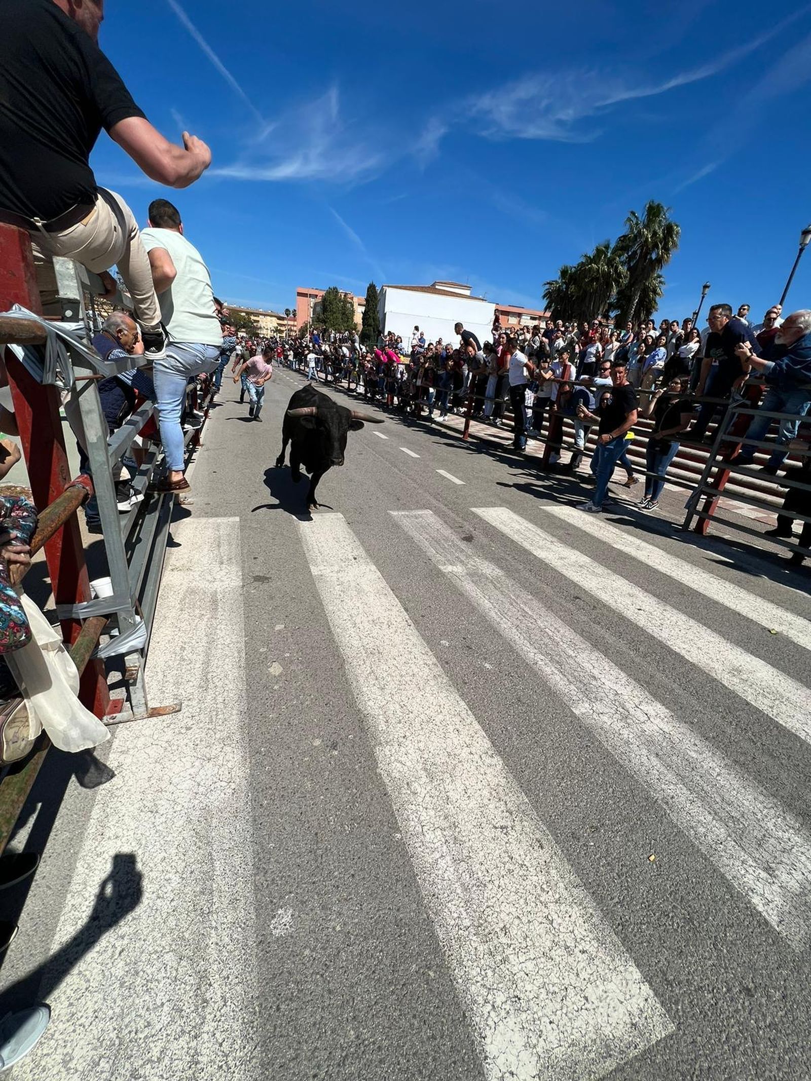 Numeroso público en el vallado hasta la plaza de La Montera.