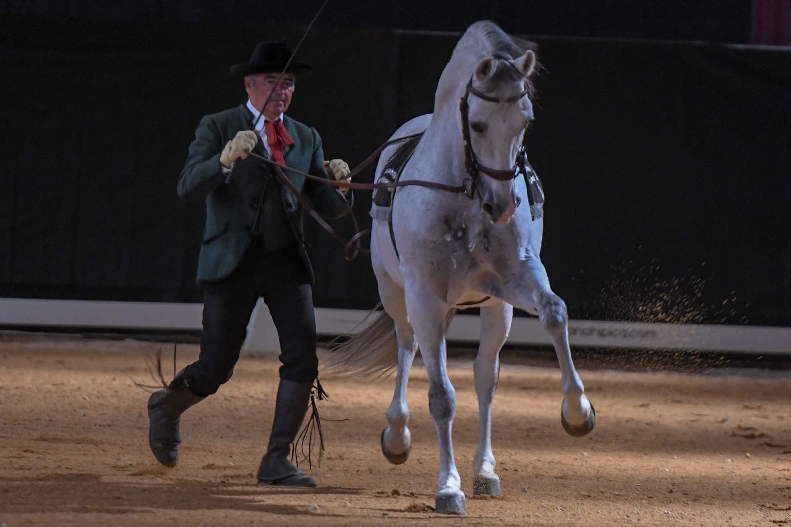 Las mejores imágenes de Concab