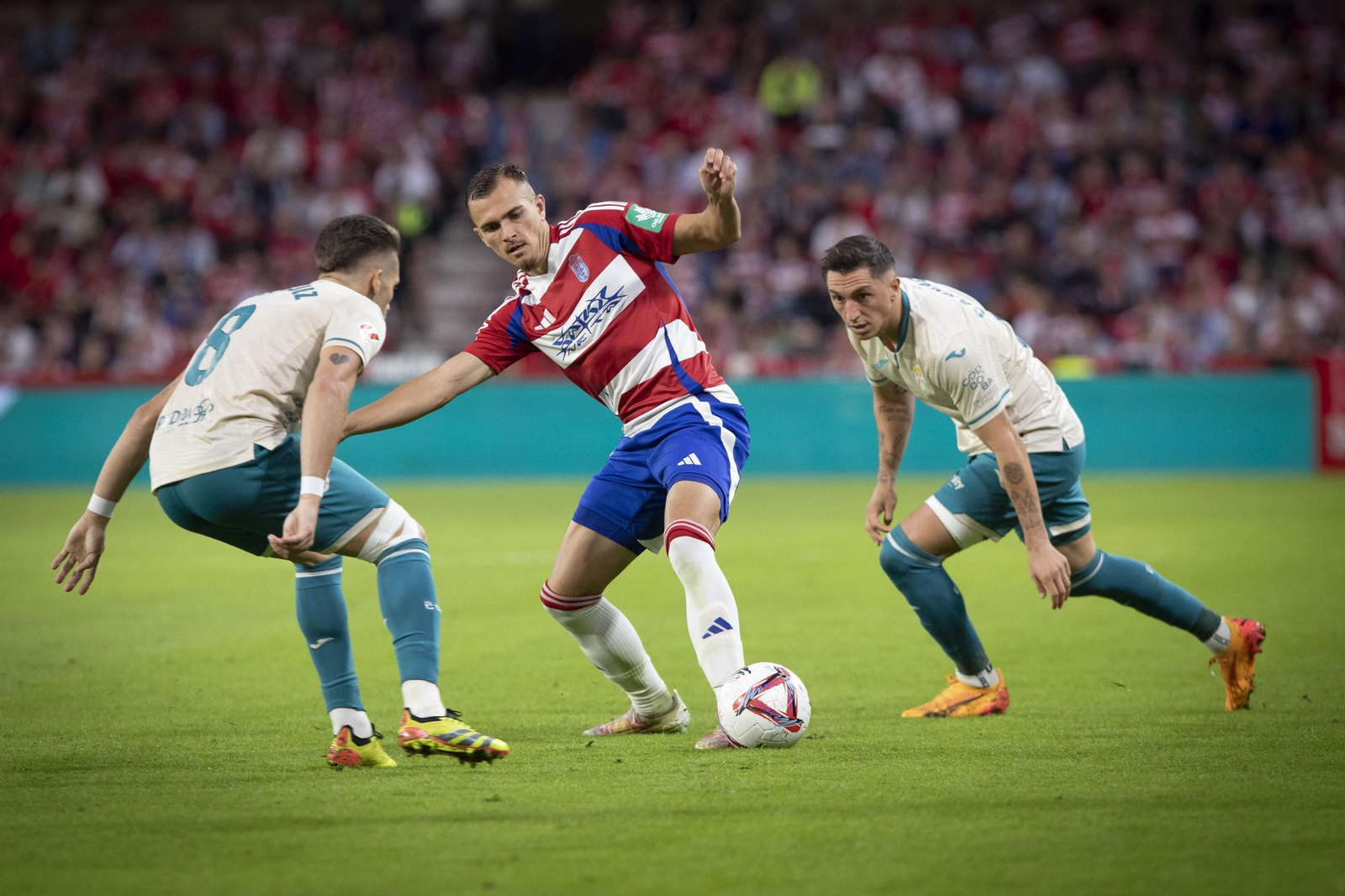Las fotos del Granada - Córdoba CF en Los Cármenes