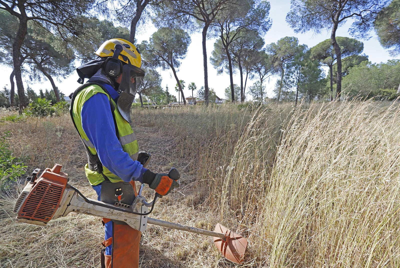 Un trabajador del Infoca realizando tareas de desbroce en un pinar cercano a Hinojos.