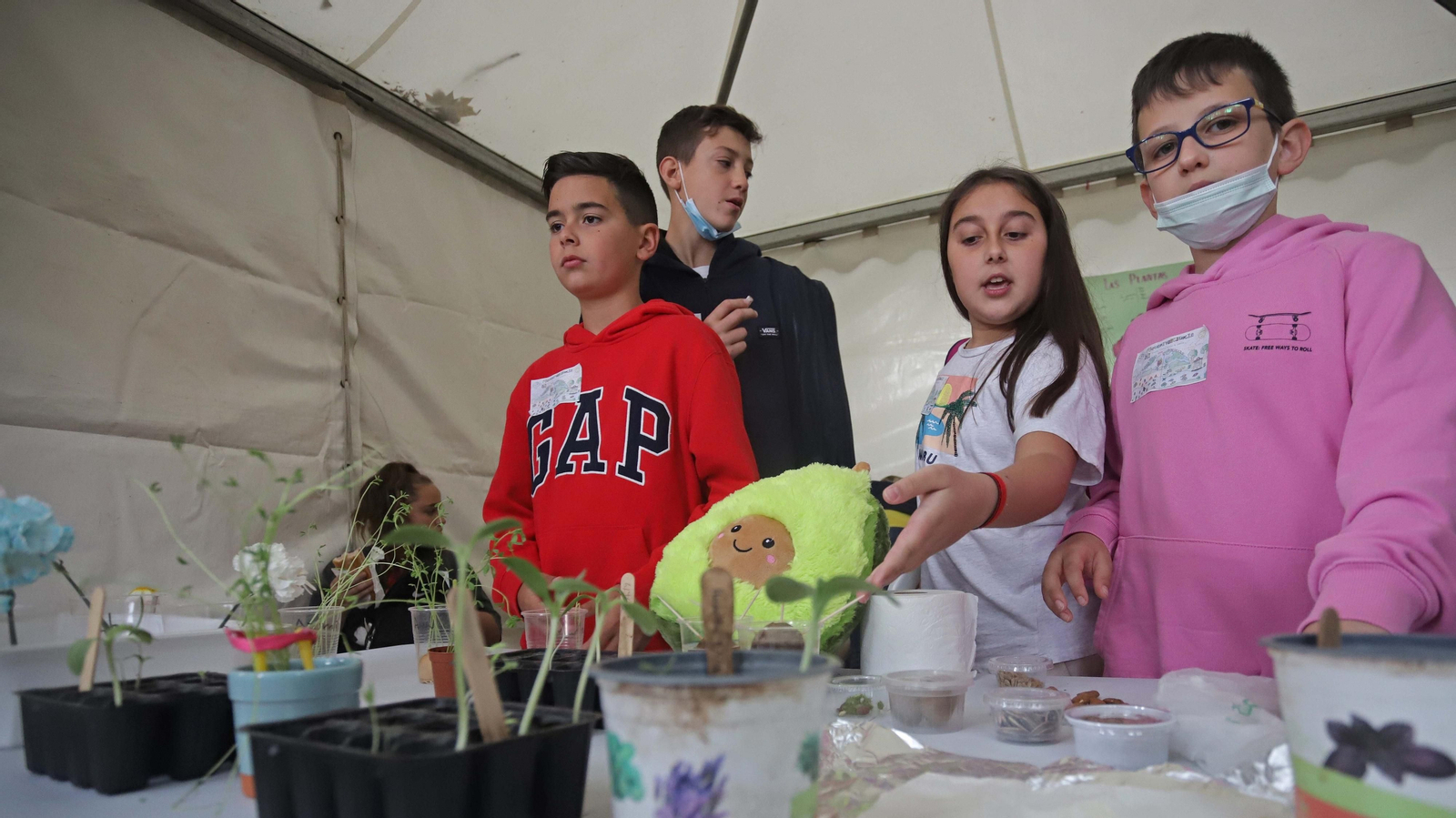 Fotos de la inauguración de Diverciencia 2022 en Algeciras