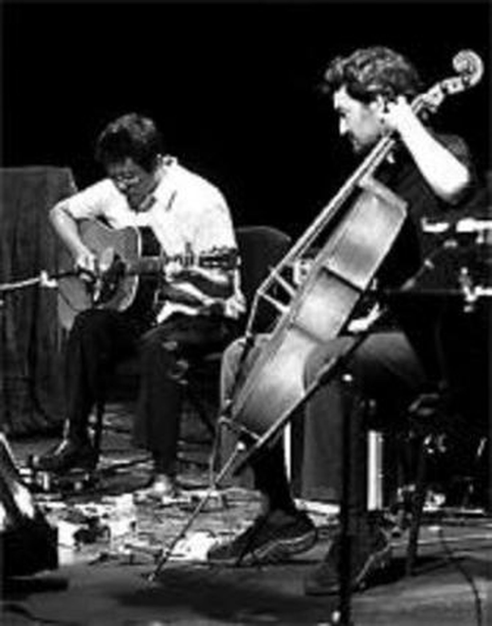 The Magnetic Fields en Málaga.