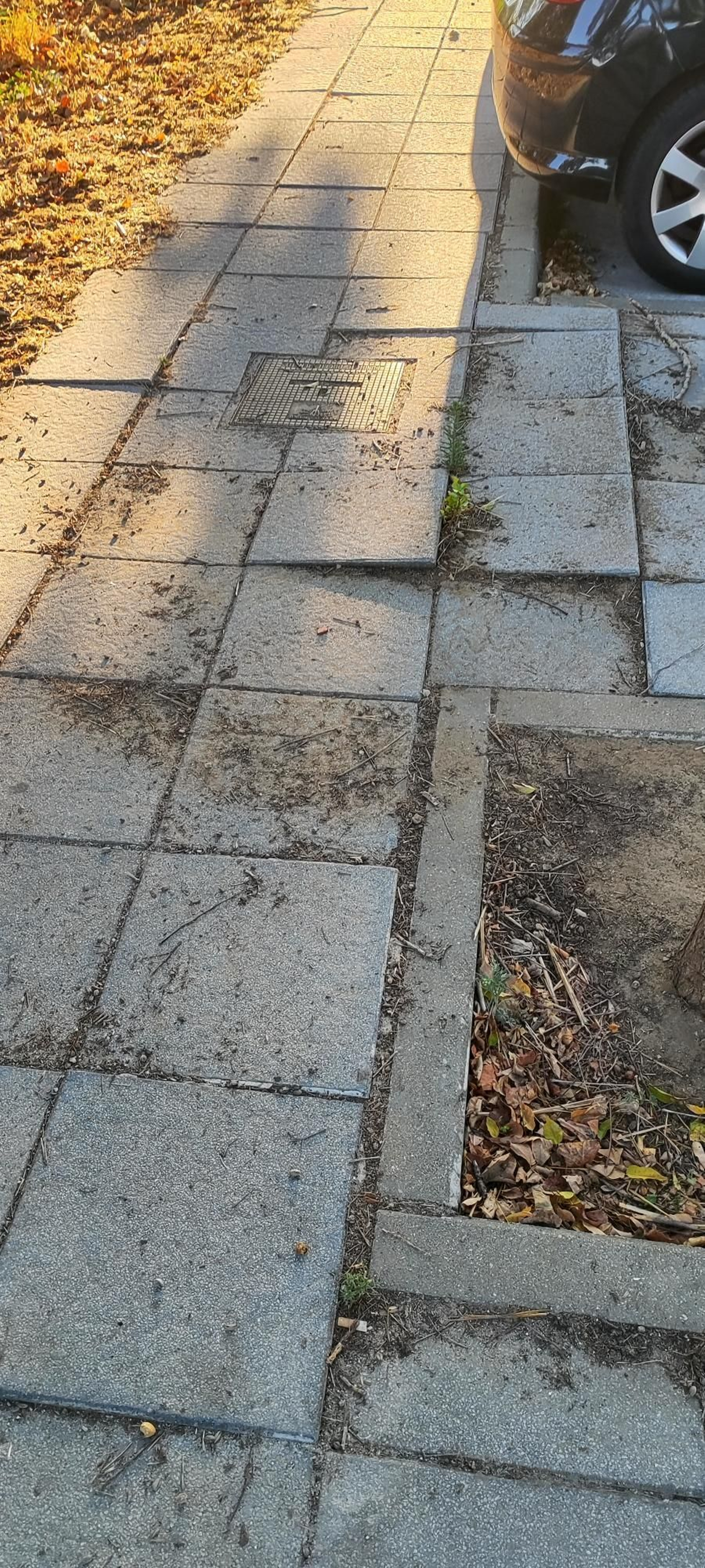 Fotos de aceras rotas en distintos puntos de Algeciras