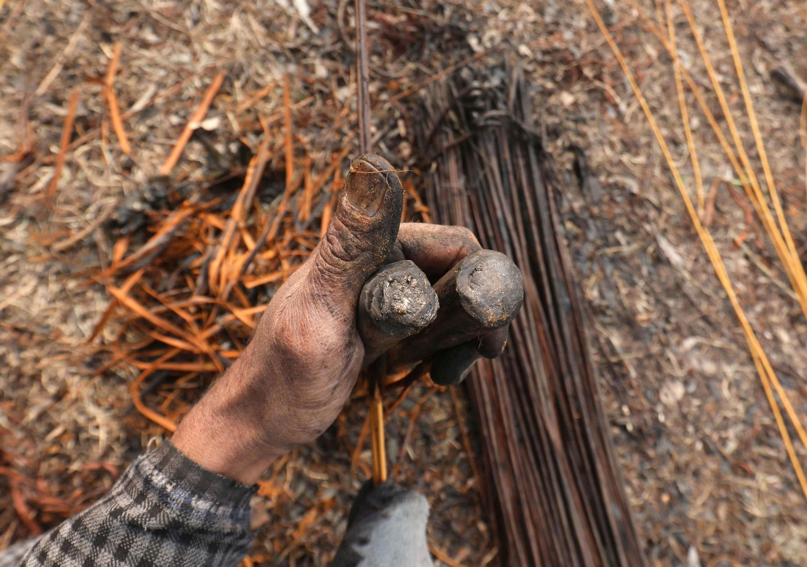 Una tradición ancestral en imágenes: La artesanía de mimbre de sauce de Cachemira