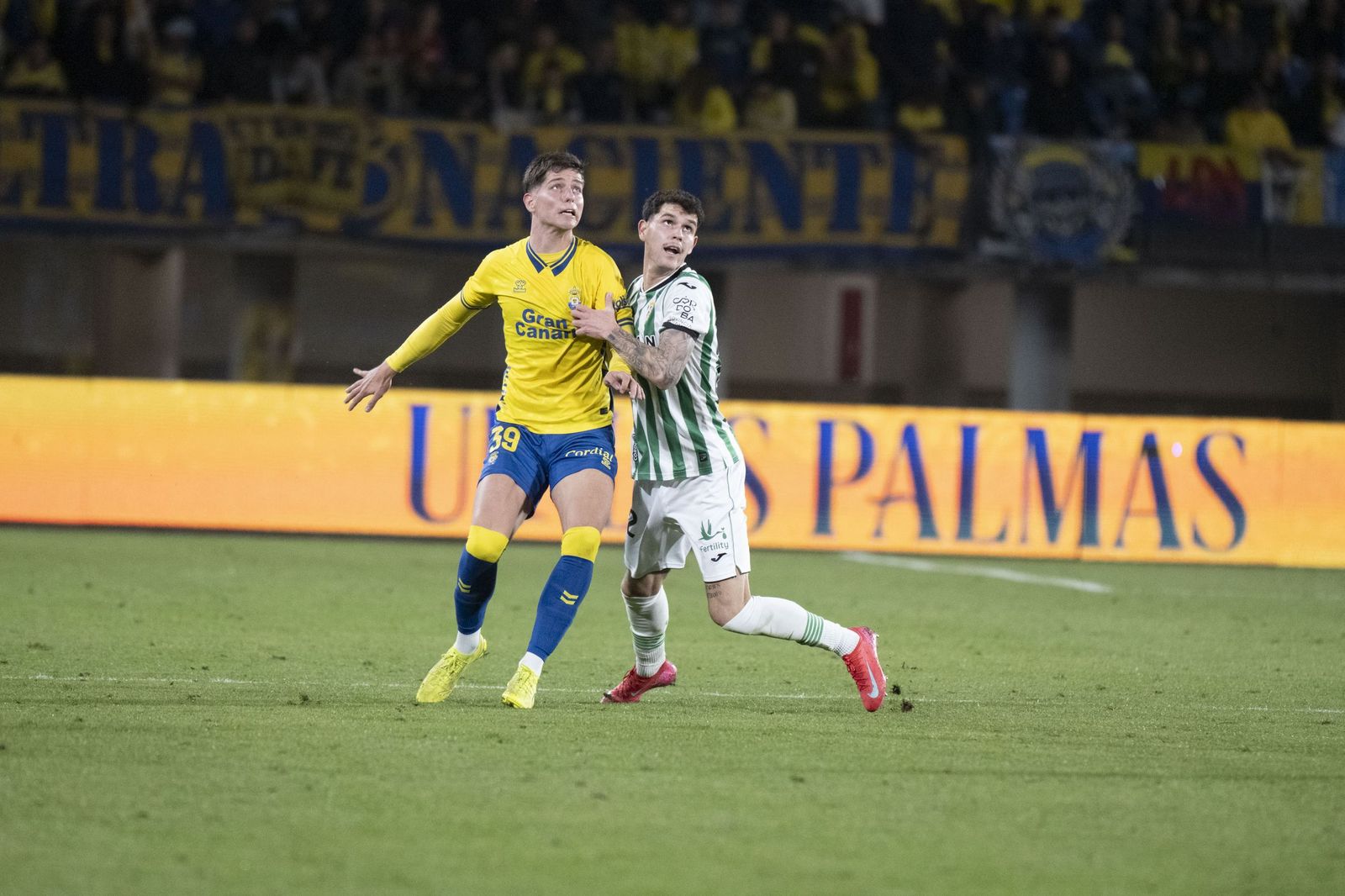 Las mejores fotos del triunfo del Córdoba CF ante Las Palmas