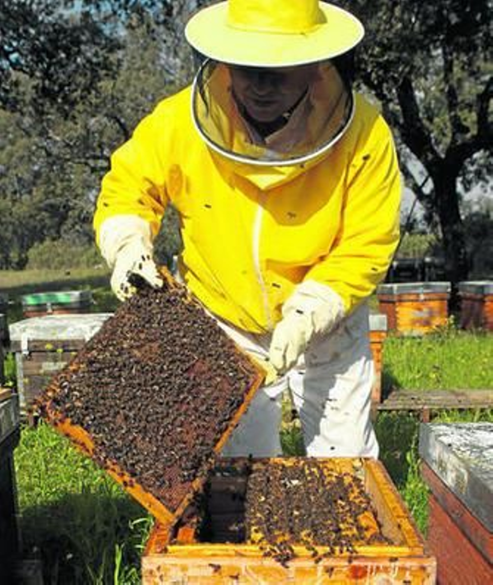 Juan Antonio García, en su explotación.