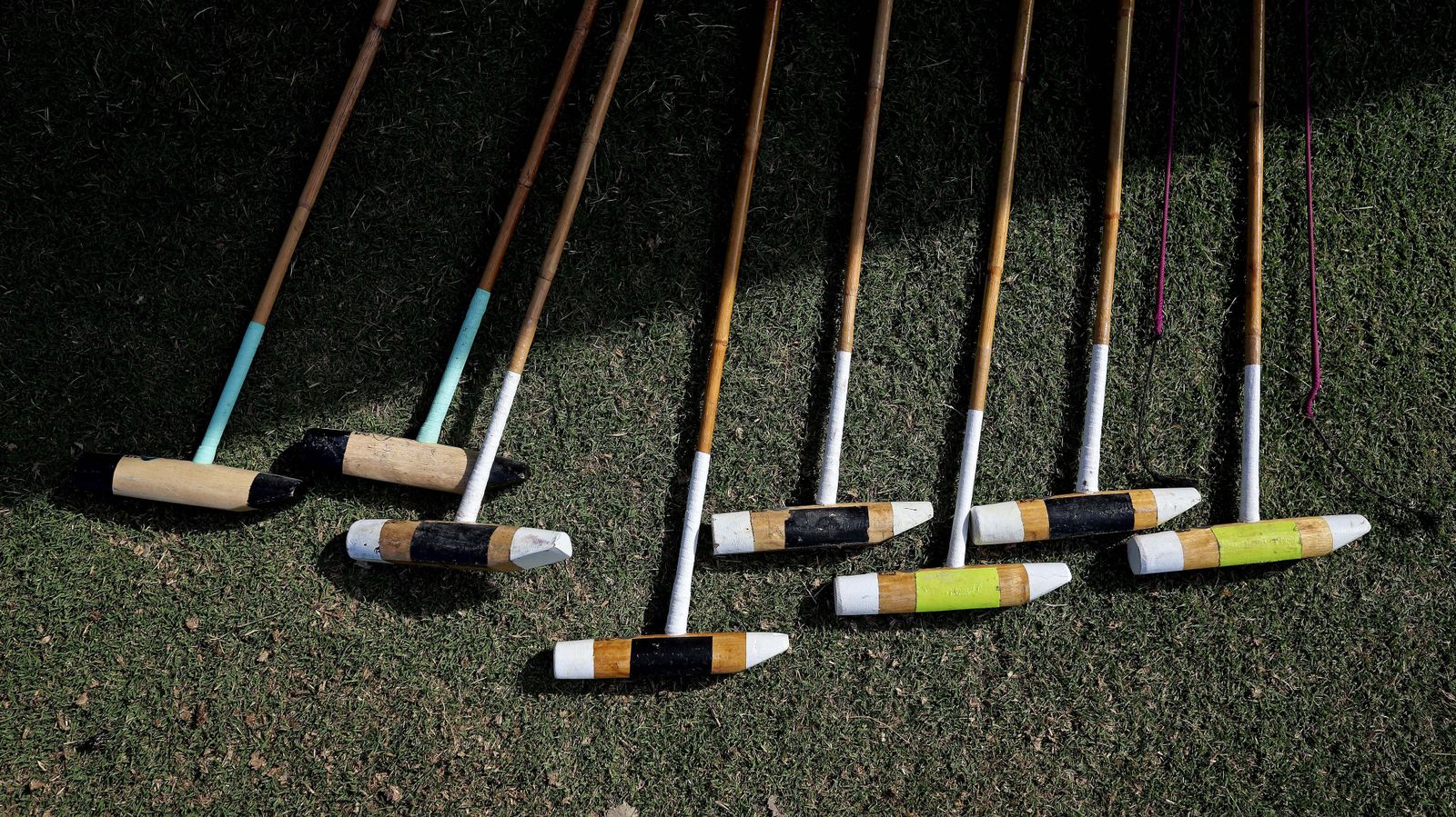 El polo desde dentro