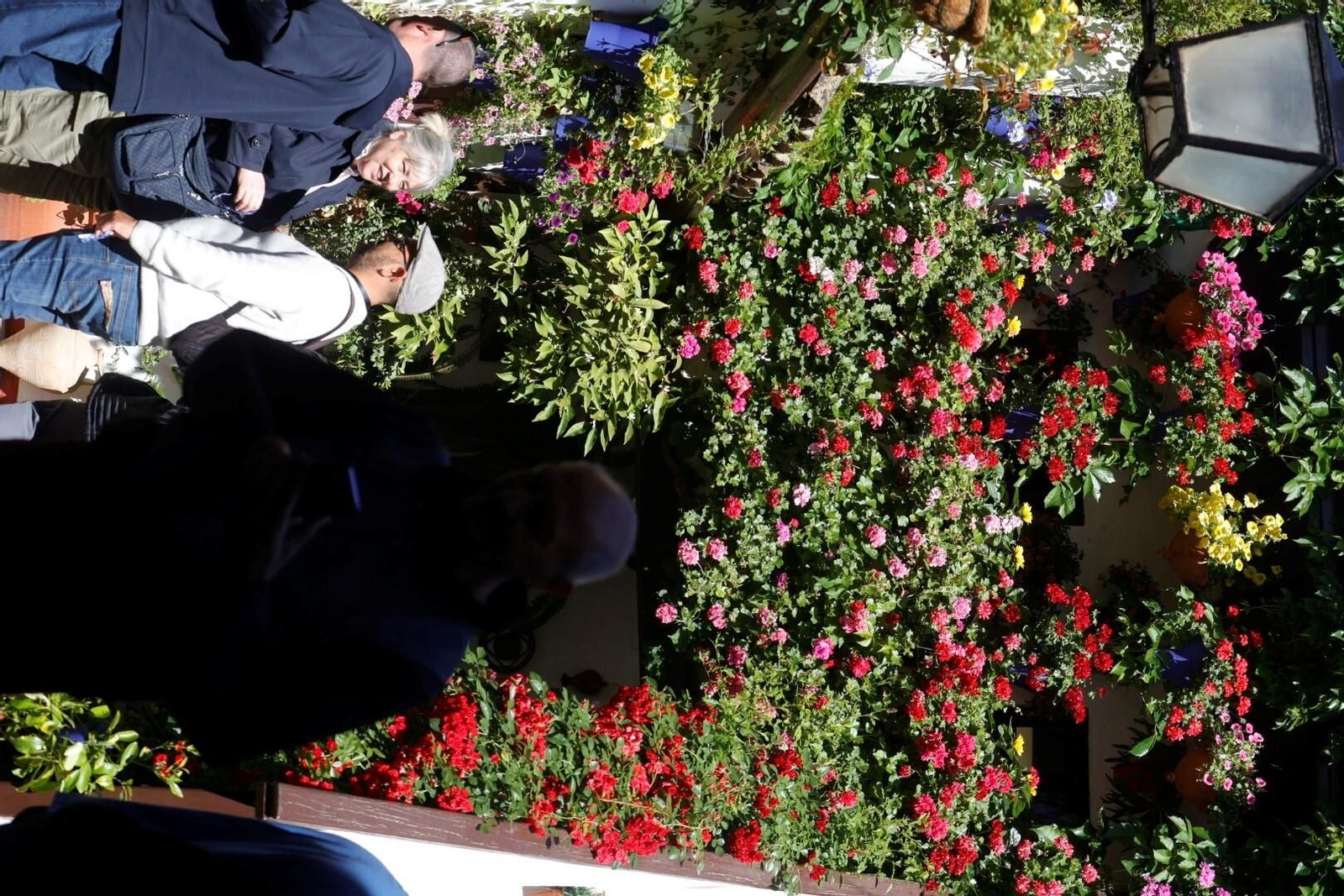 Las mejores imágenes del primer día de Patios en Córdoba