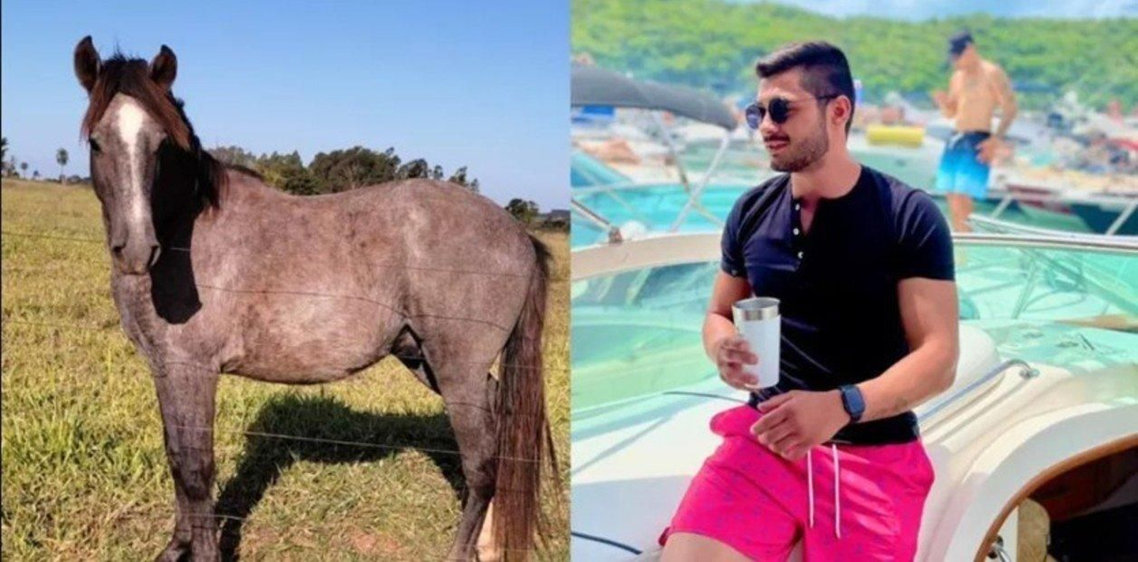 Un hombre borracho entra en una subasta, compra un caballo y ahora no sabe qué hacer con él