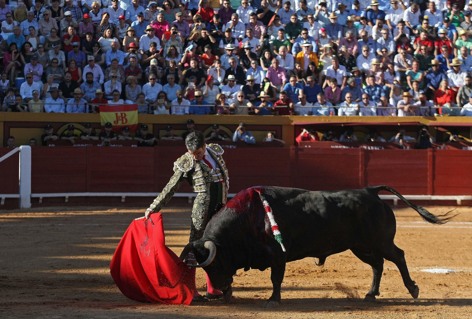 Las imágenes de la reaparición de José Tomás en Algeciras