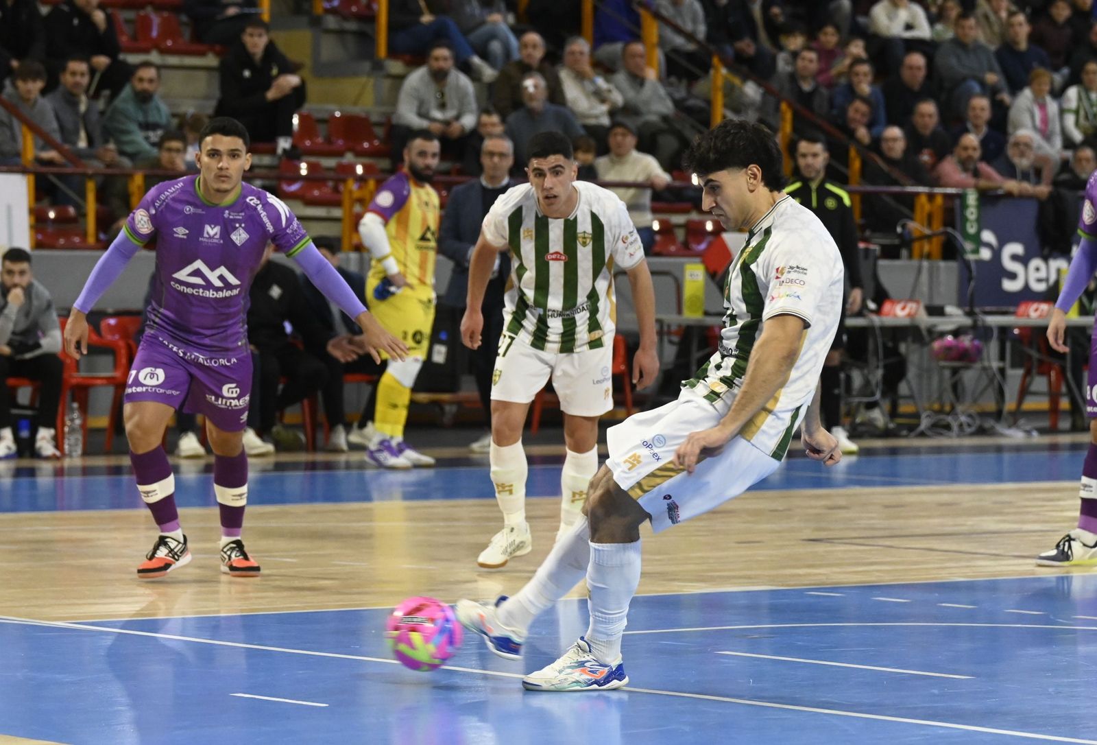 Las mejores fotos del ambiente en Vista Alegre para el Córdoba Patrimonio - Palma Futsal