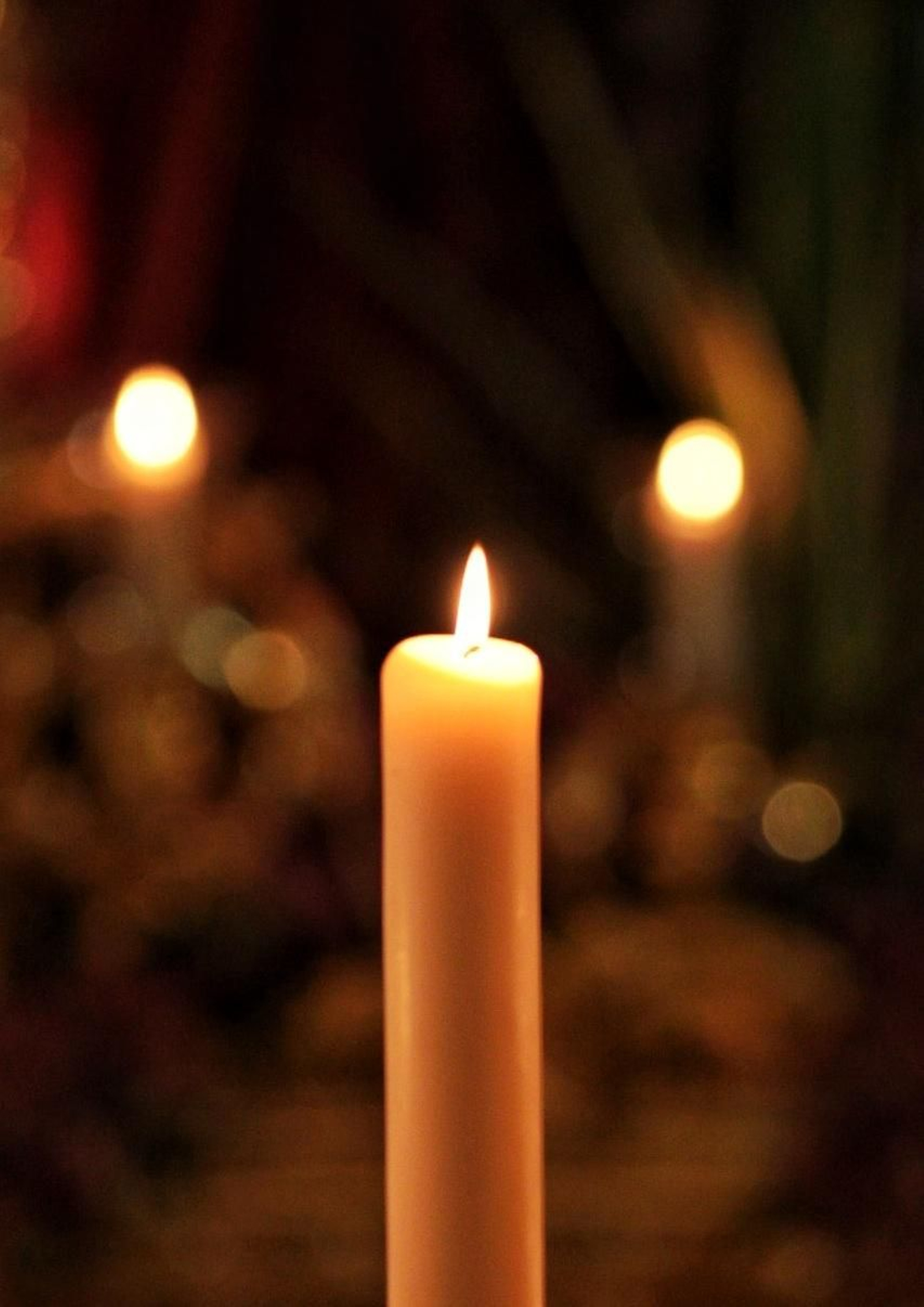 Las fotos de Pollinica este Domingo de Ramos en Málaga