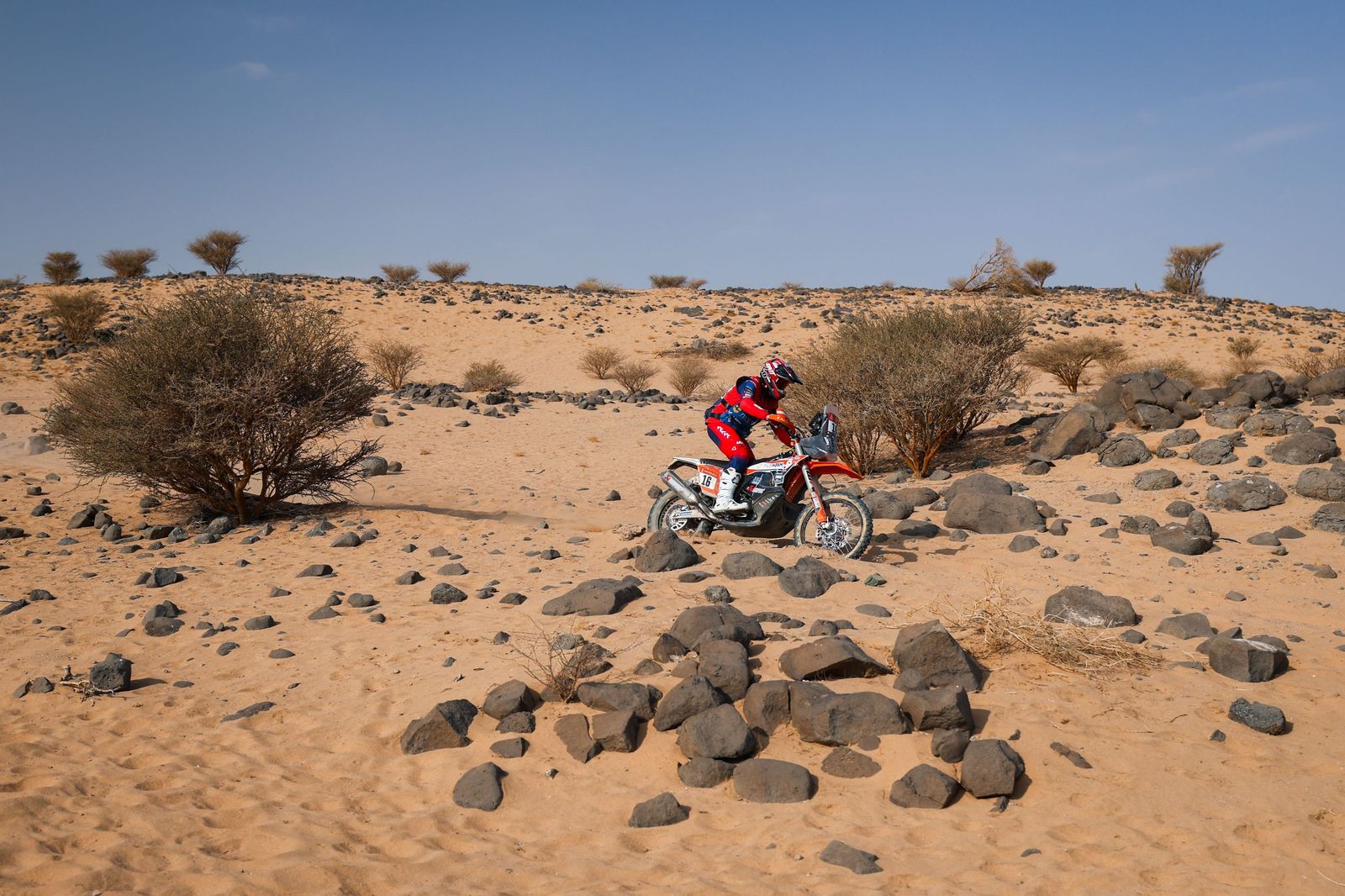 Las mejores fotos del Rally Dakar | undécima etapa
