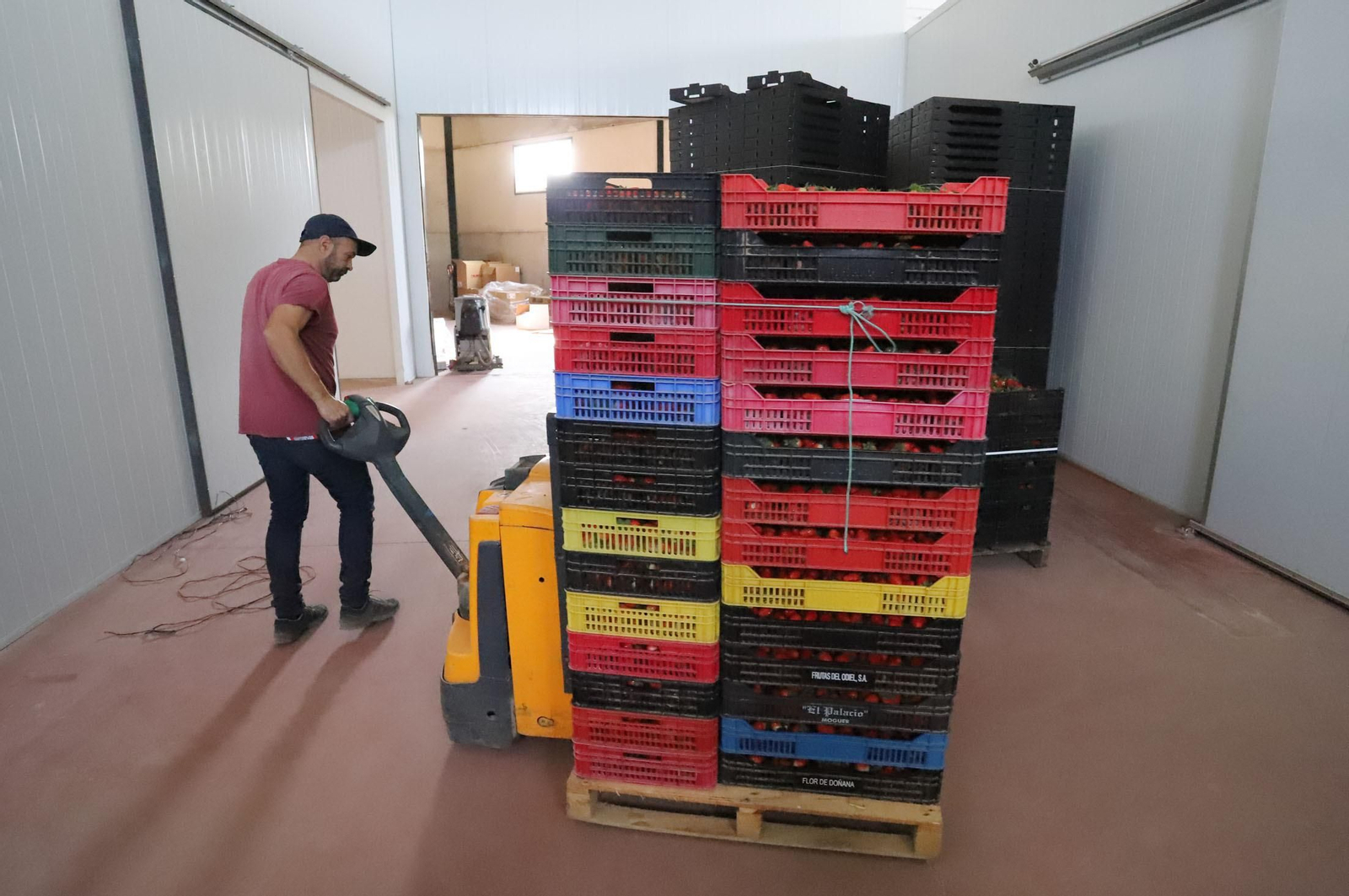 Imágenes de la realidad del trabajo en el campo