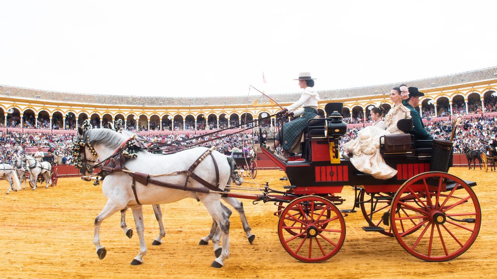 Primer Premio Tronco Calesera.