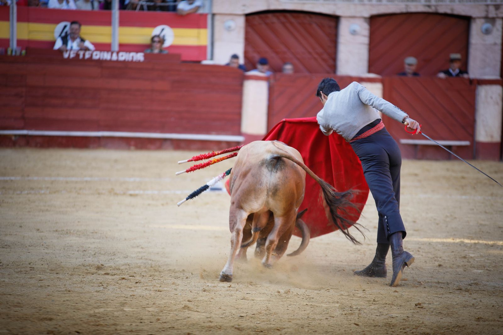 Imágenes del festival mixto lucha contra el cáncer