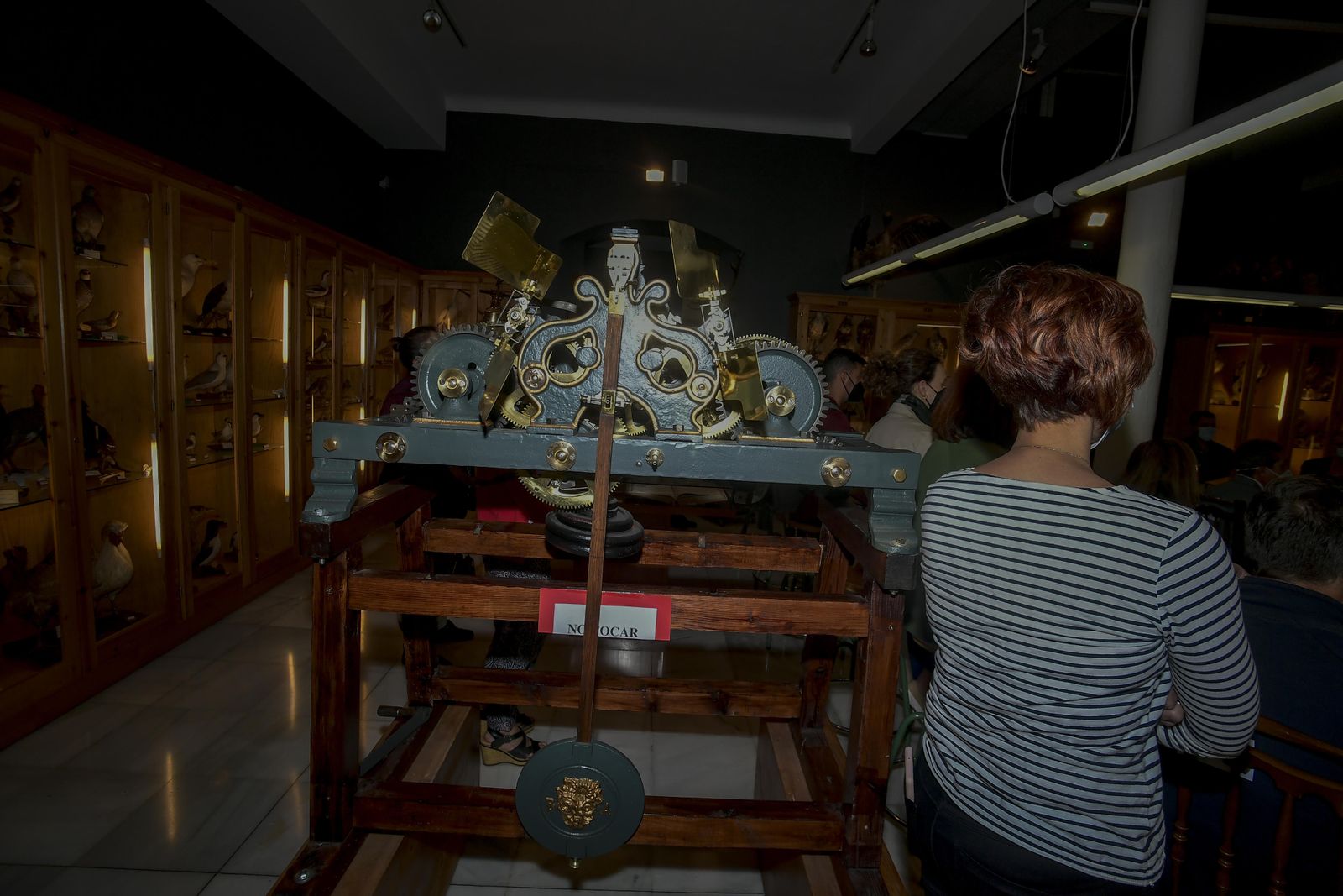 La inauguración del Museo de Ciencia del IES Padre Suárez de Granada, en imágenes