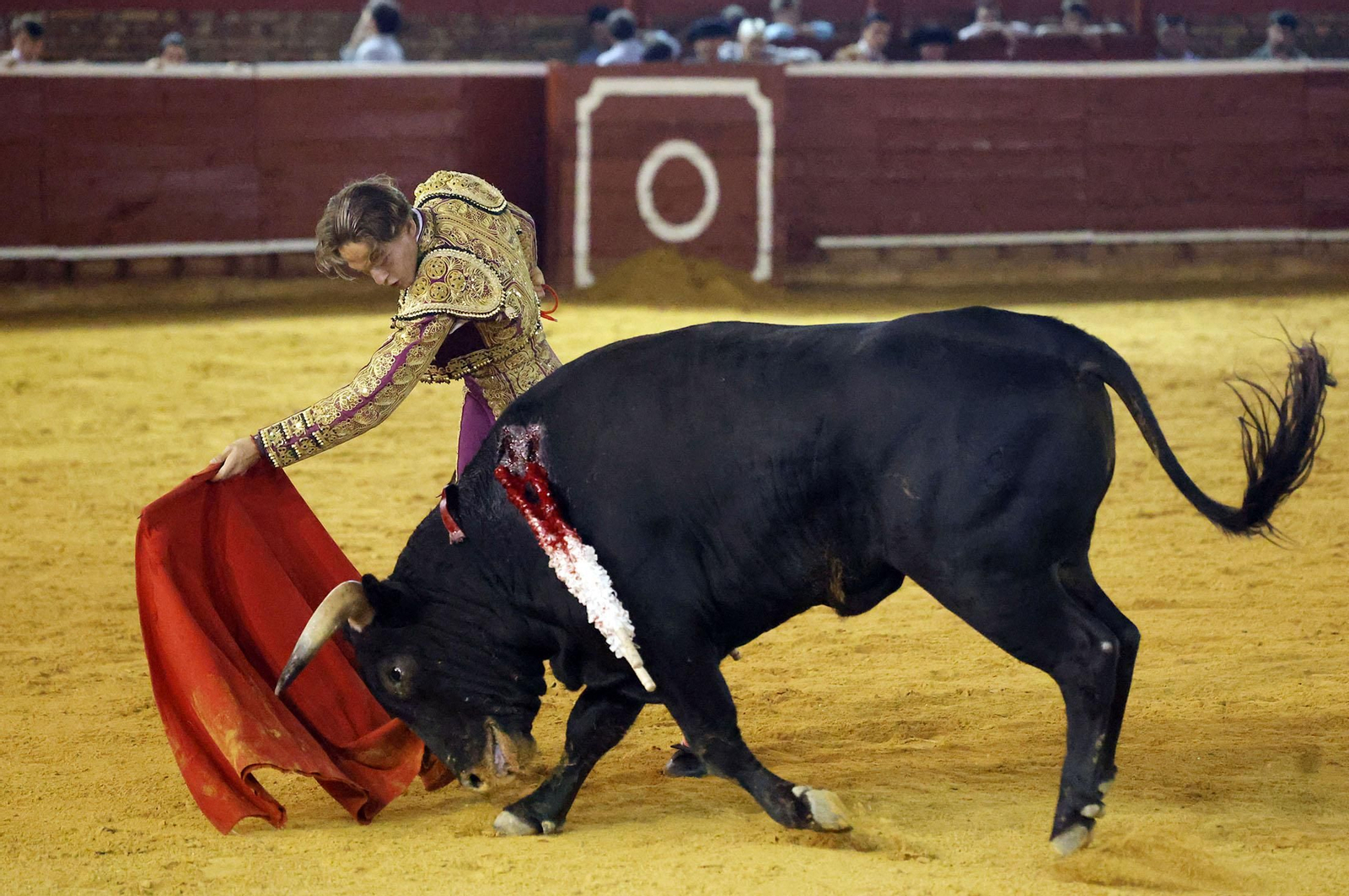 Toros La Merced 2024: Imágenes de la clase práctica del primer Festejo celebrado en la Plaza de Toros La Merced