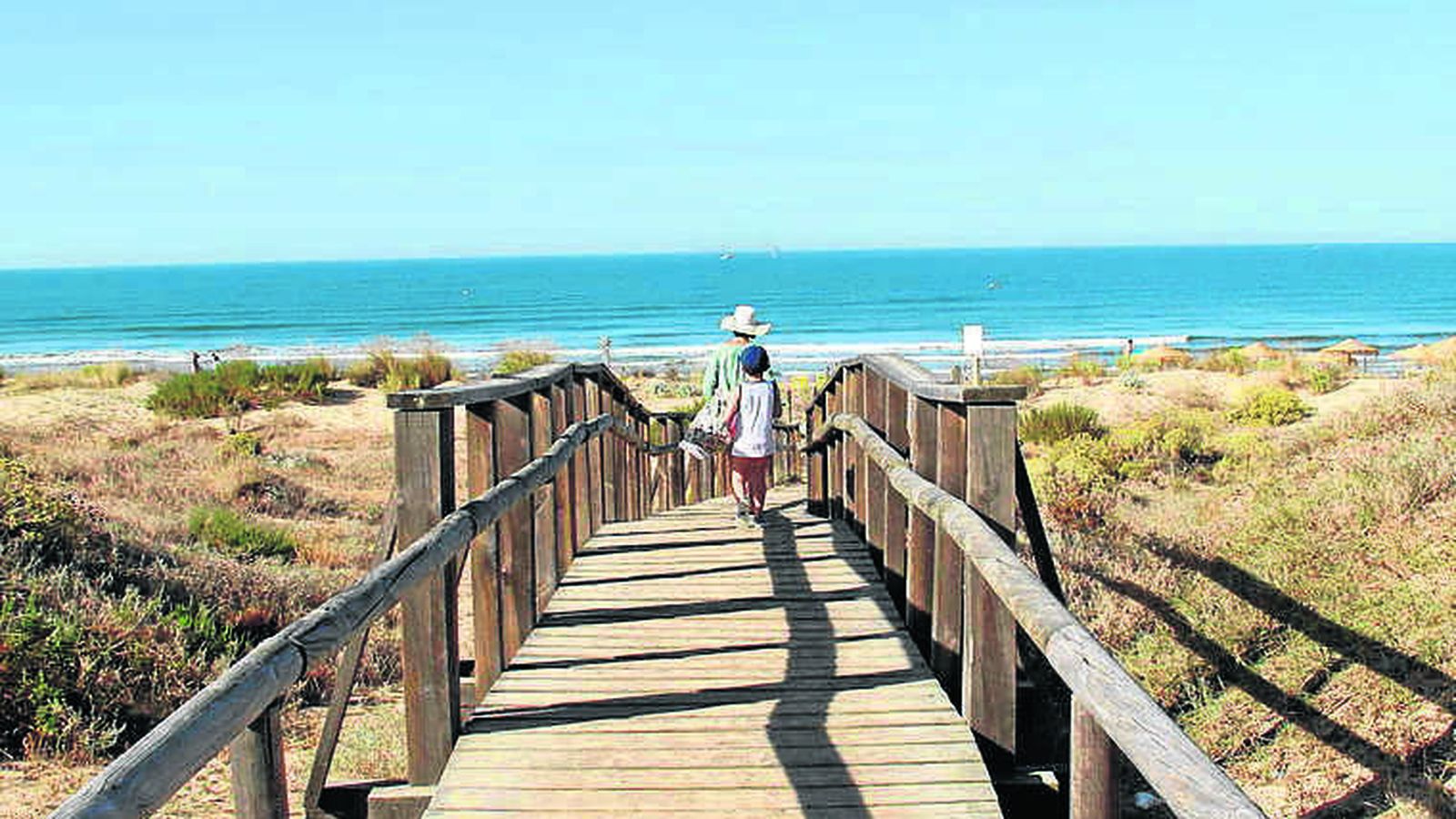 Pasarela para acceder a la arena, en armonía con la naturaleza.