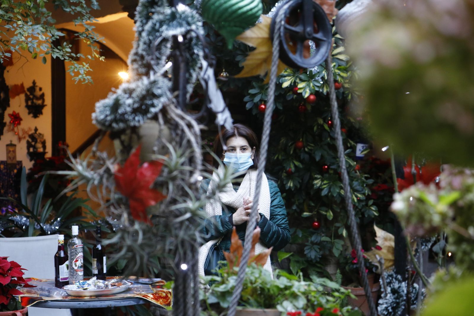 Las fotografías de los Patios de Córdoba en Navidad