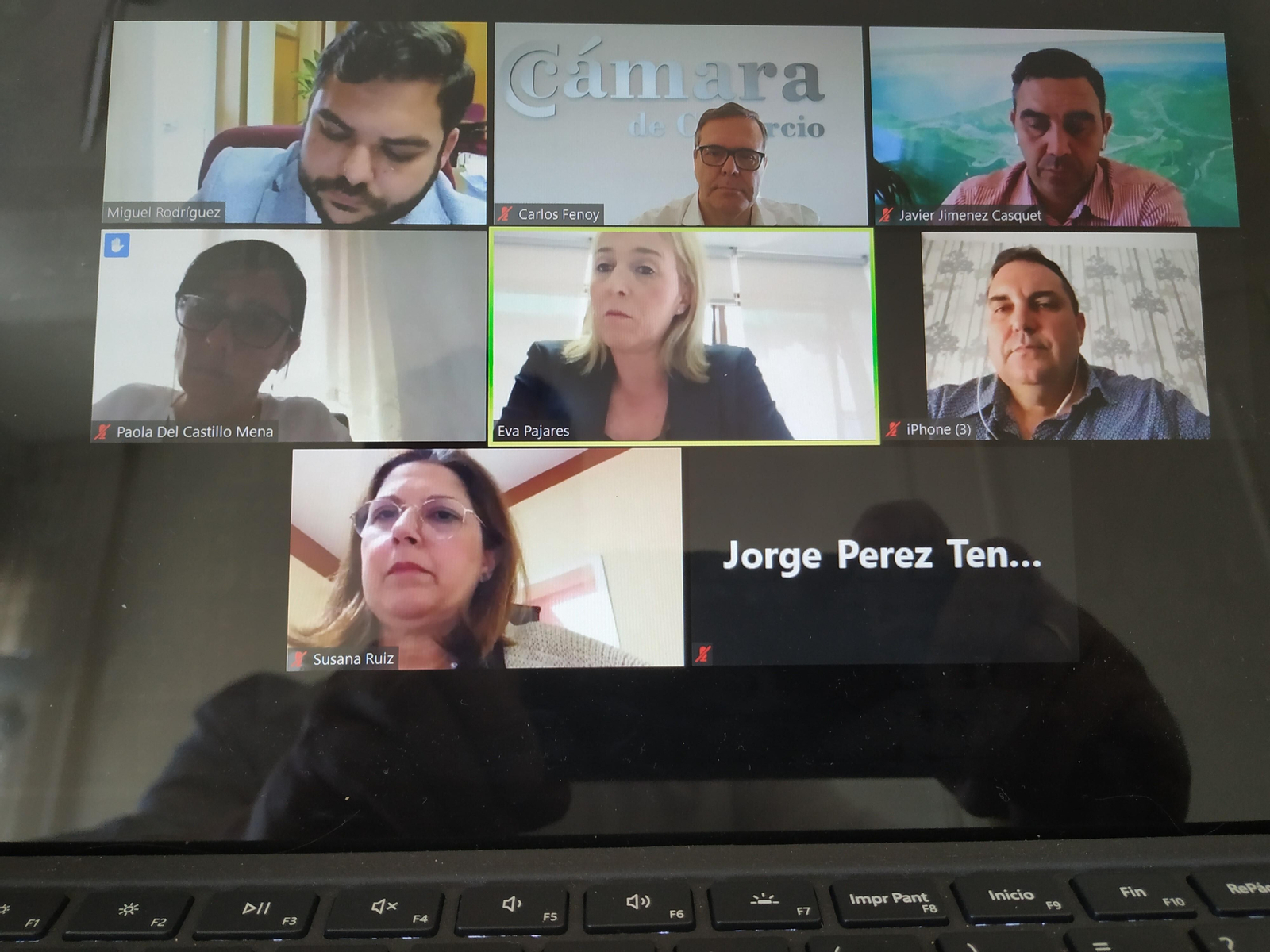 Los participantes en la reunión telemática