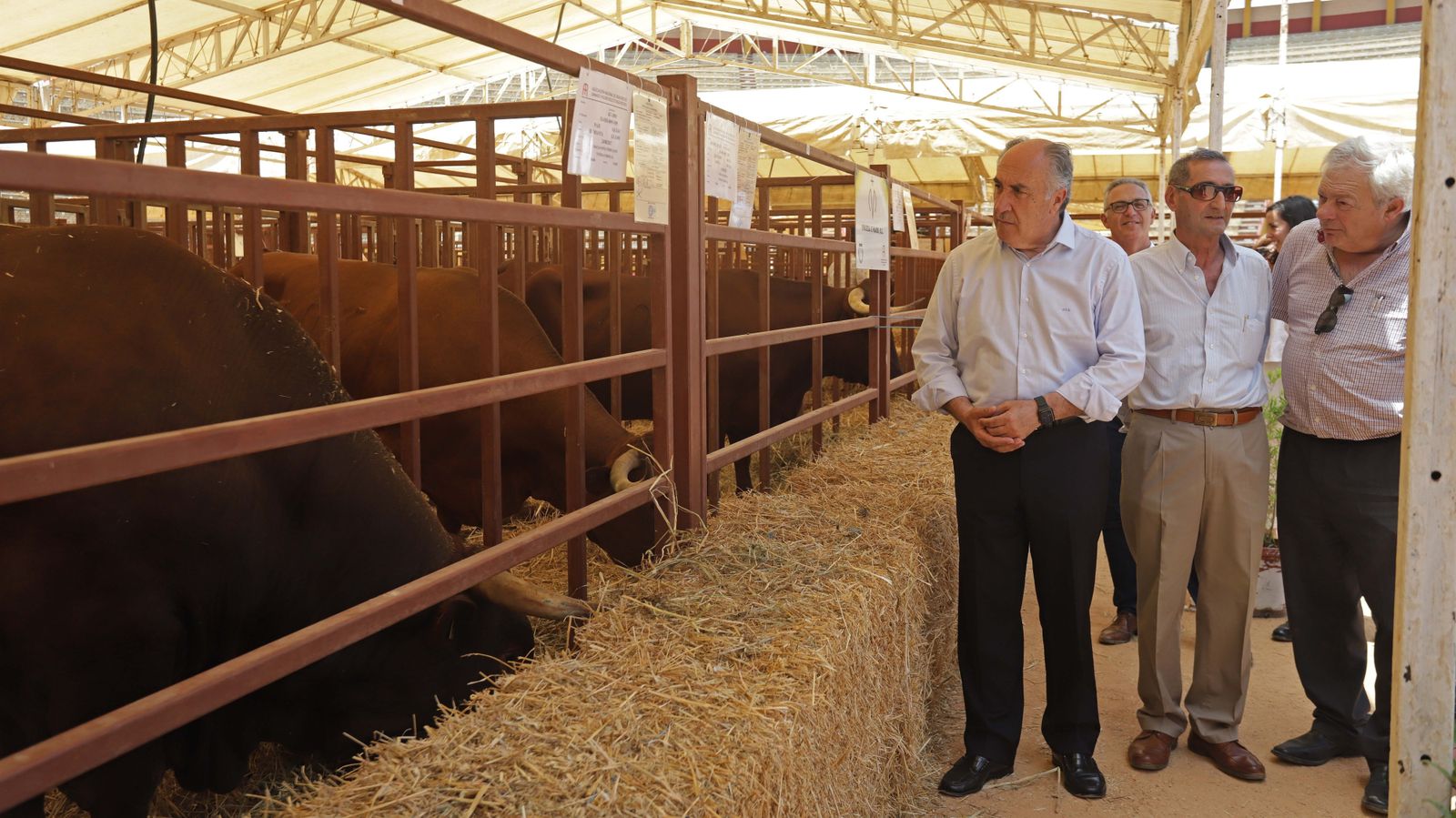 Fotos de la inauguración de la 171 Feria del Ganado de Algeciras