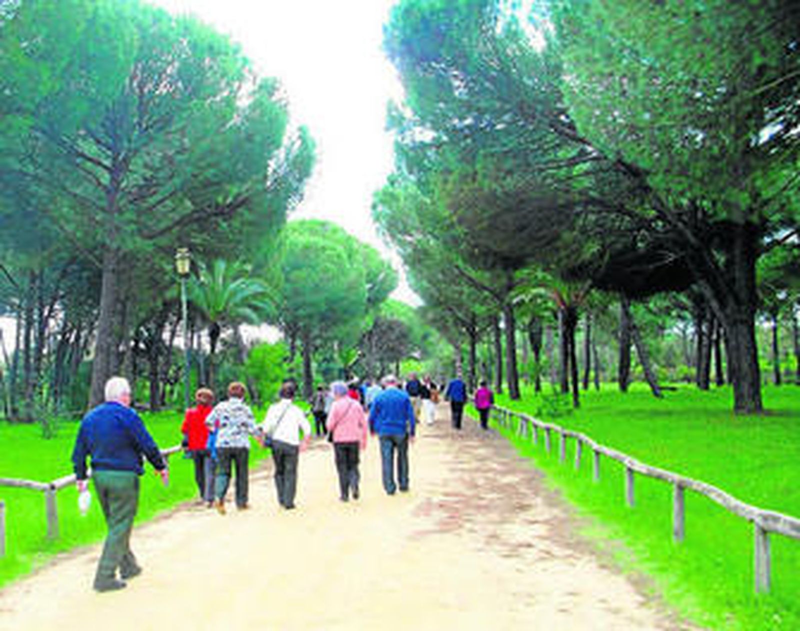 Visitantes caminando por el interior del parque nacional de Doñana.