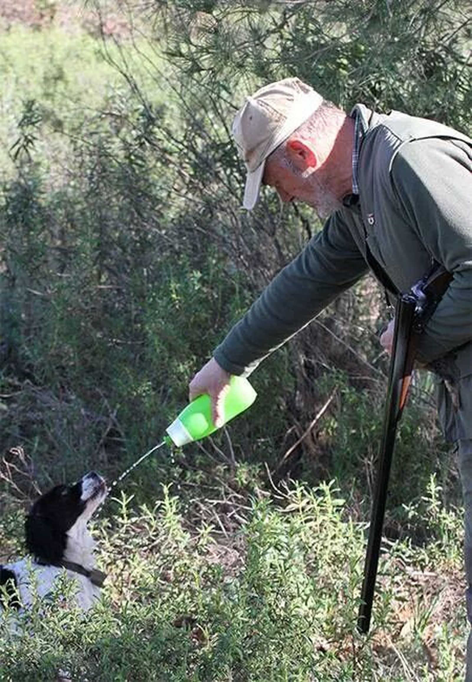 Cómo cazar con perro de forma sostenible