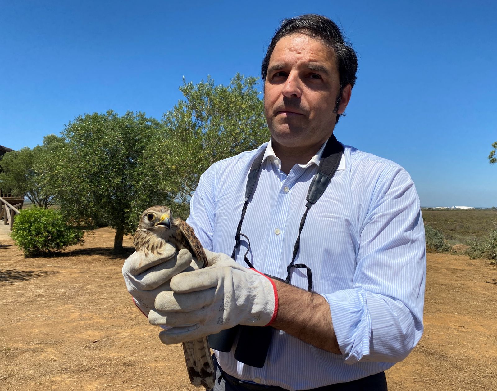 El delegado territorial de Sostenibilidad, Medio Ambiente y Economía Azul, Pedro Yórquez, con el cernícalo
