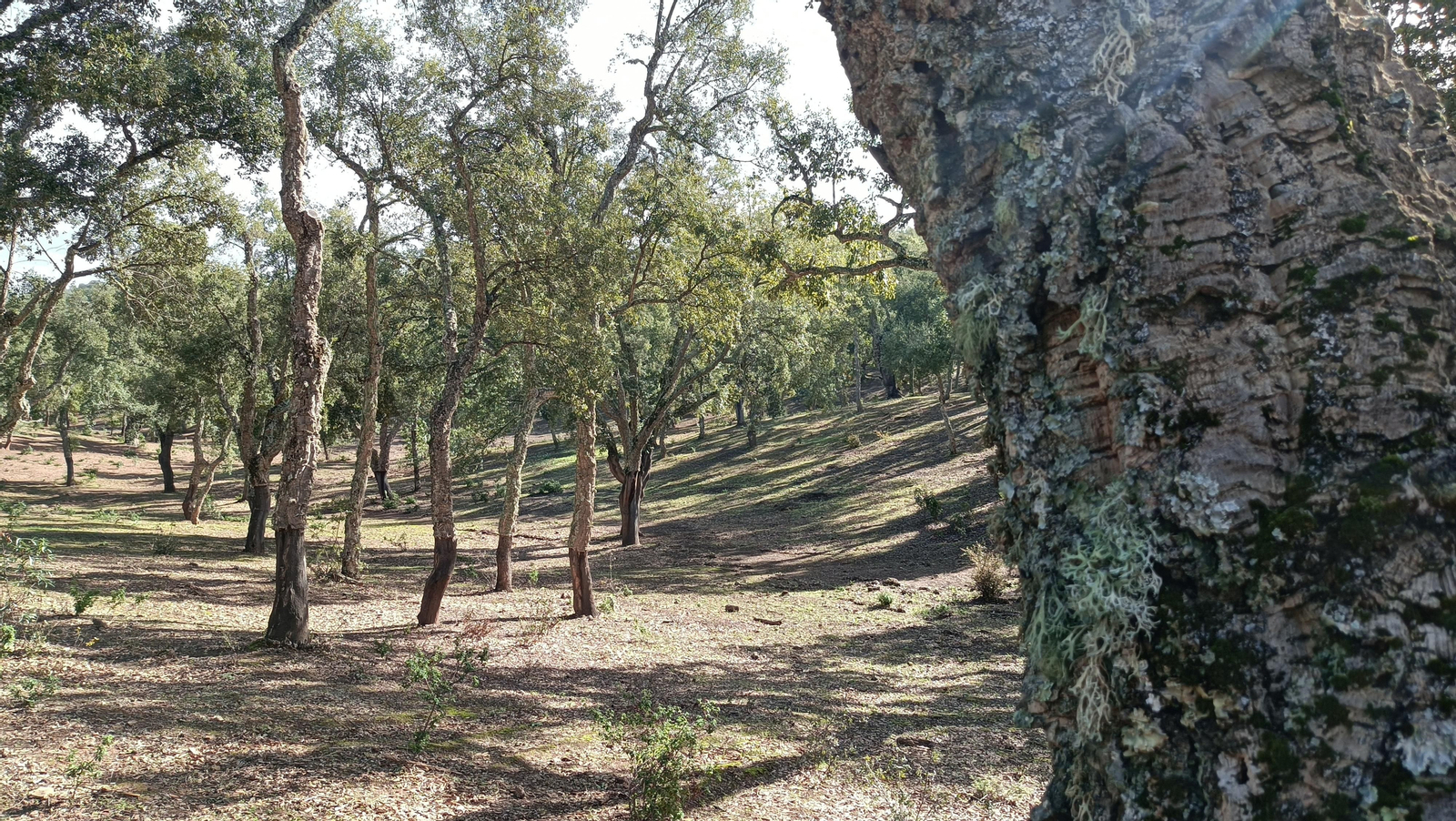 La bajada deja bonitas estampas.