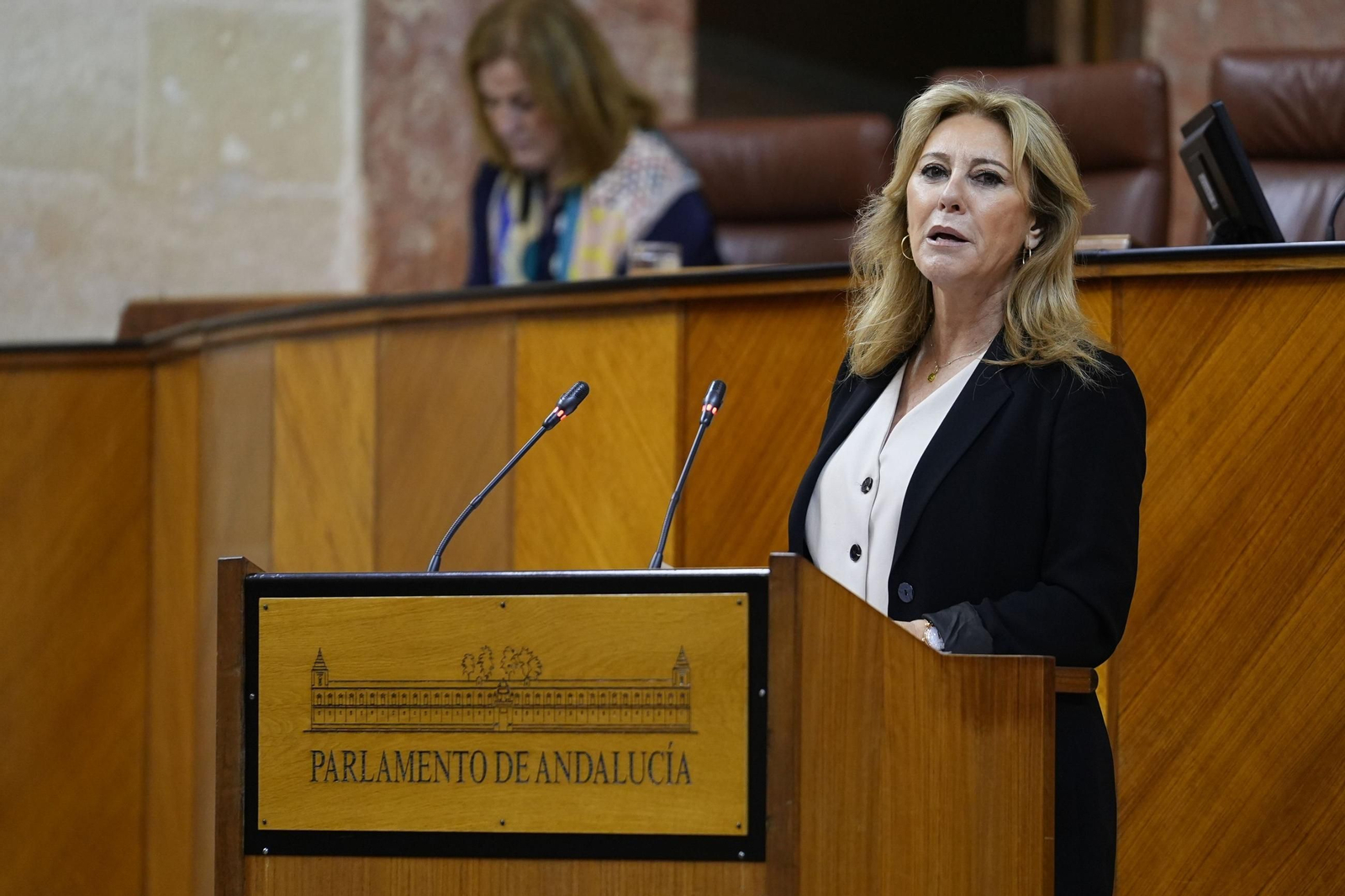 La consejera de Hacienda y portavoz del Gobierno, Carolina España, en el Parlamento de Andalucía. La consejera de Hacienda y portavoz del Gobierno, Carolina España, en el Parlamento de Andalucía.