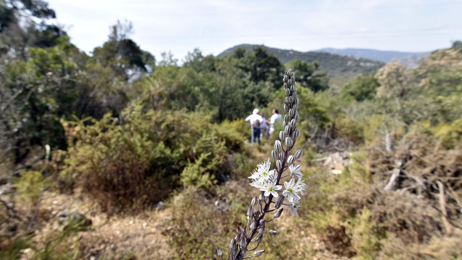 Parque de los Alcornocales, La Almoraima