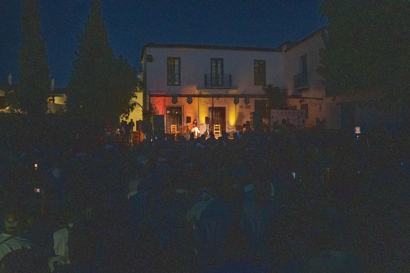 Las mejores imágenes del Festival de Flamenco en Fondón