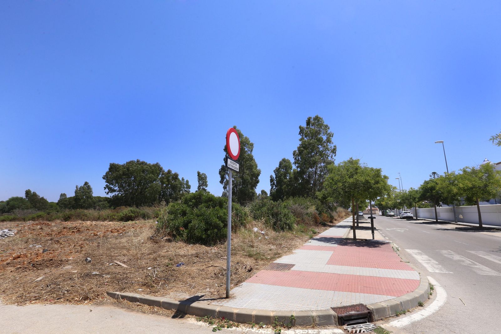 Vista de los terrenos donde se plantea llevar a cabo la actuación en los próximos meses.