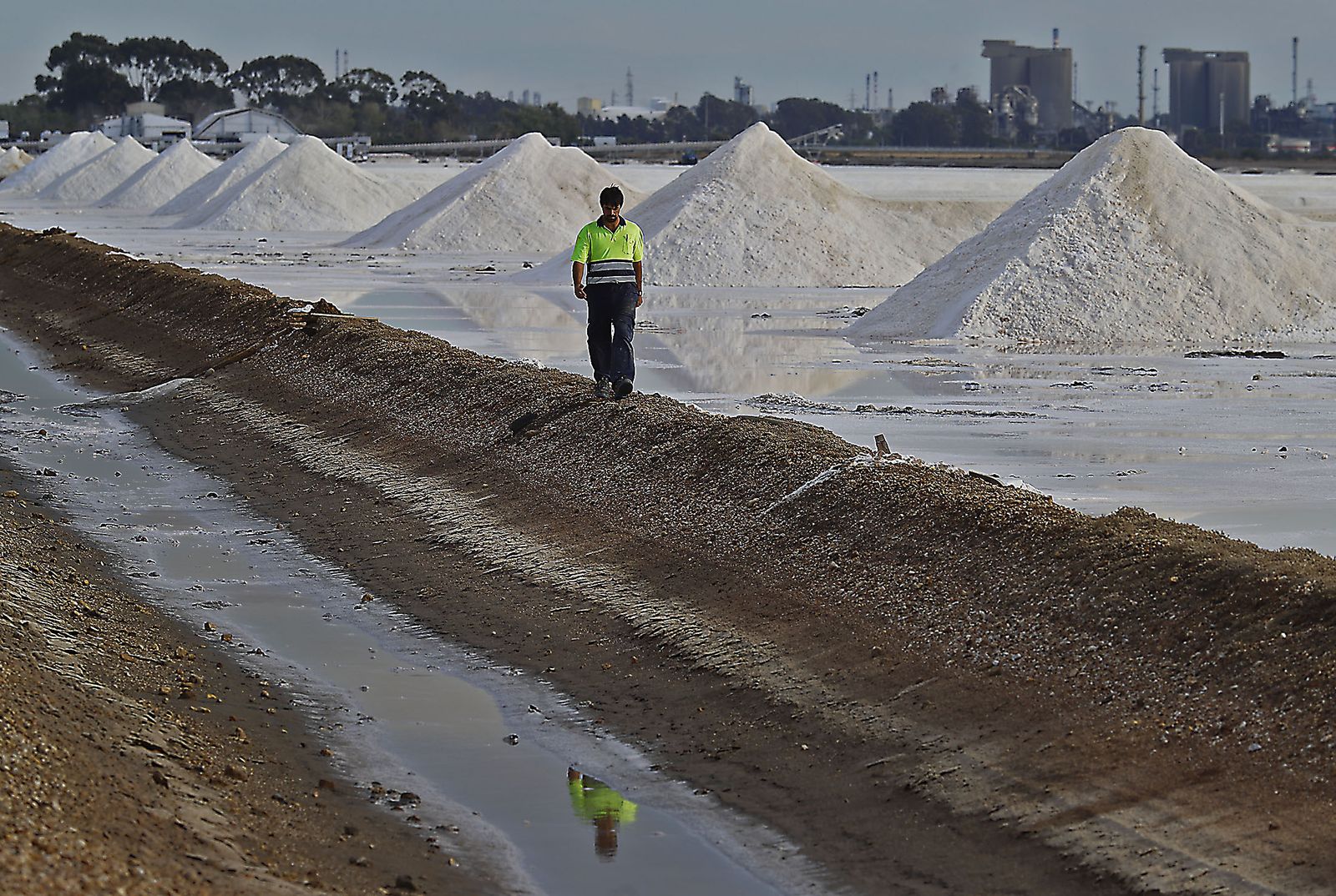 Paraje natural Marismas del Odiel, paraíso de Huelva entre salinas