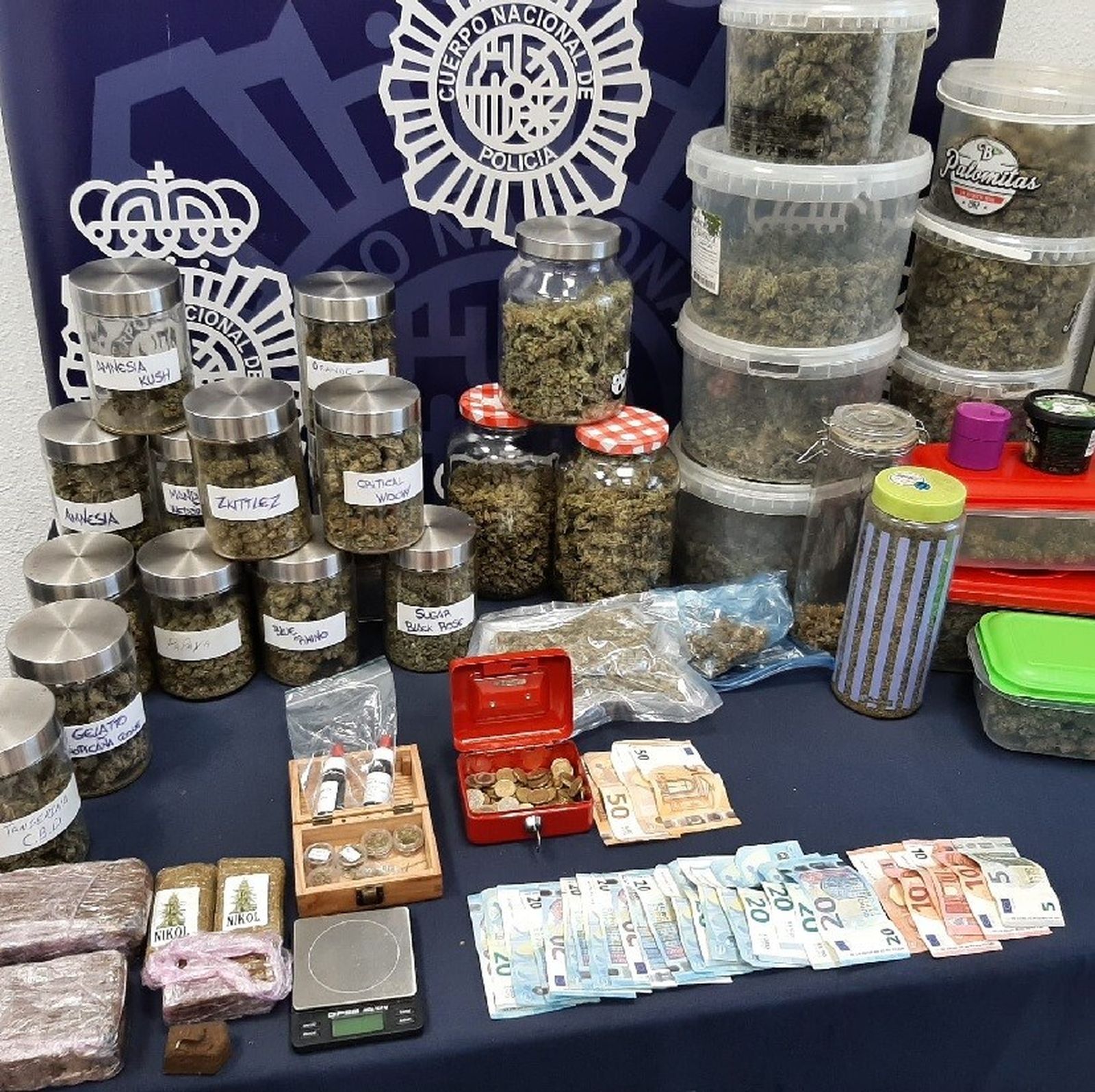 Droga incautada en un asociación de cannabis