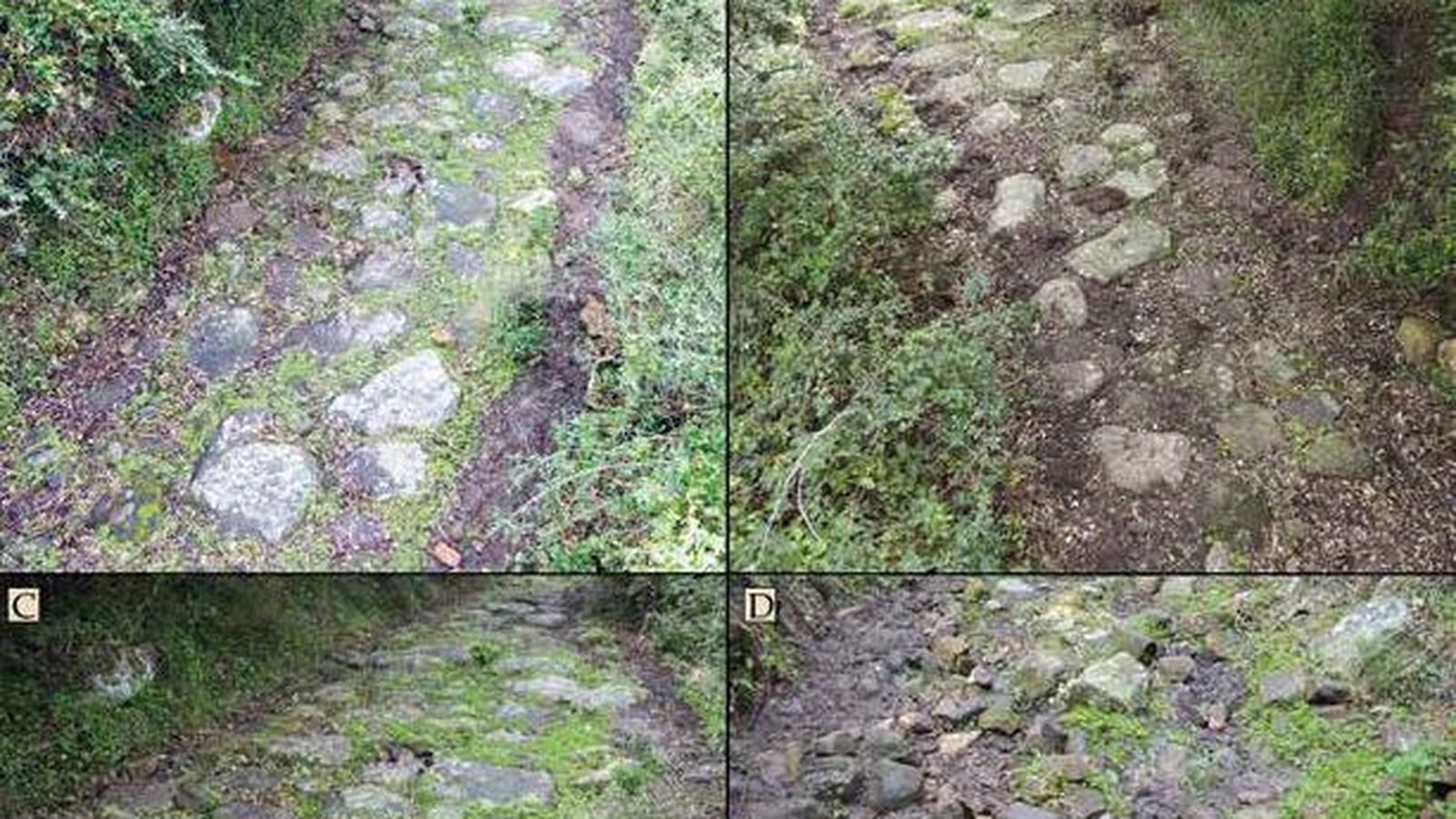 Vistas aéreas del camino empedrado: zona baja (A), zona superior (B), detalle de los mampuestos (C) y zona desmochada del camino en el extremo superior, donde se aprecia su posible preparación (D).