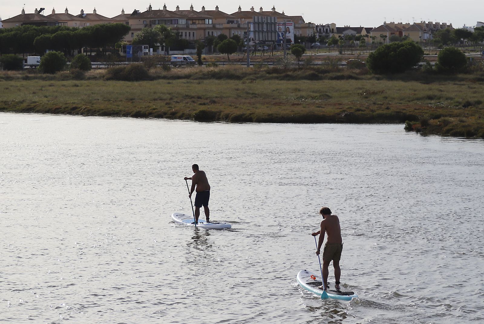 Paraje natural Marismas del Odiel, paraíso de Huelva entre salinas