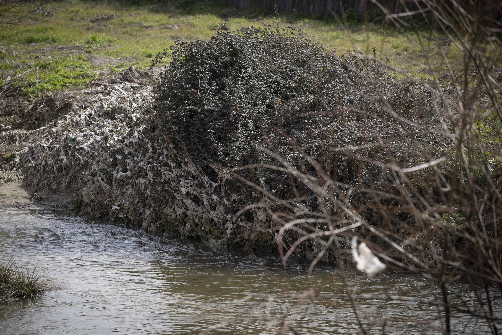 Fotos del 'cementerio' de toallitas que se acumula junto al río Genil en Granada