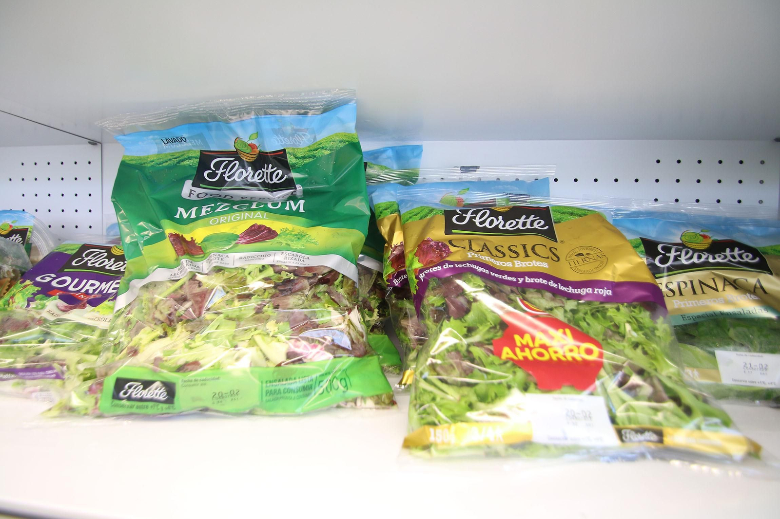 Fotogalería de las jornadas de puertas abiertas de Rijk Zwaan en Cartagena