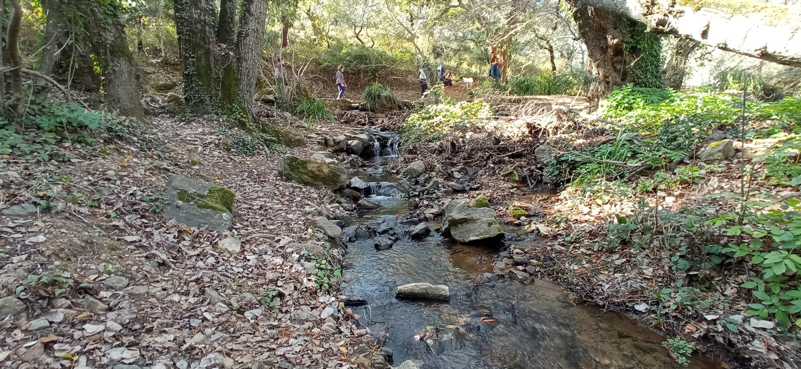 Las imágenes de la ruta de la cascada de Jollarancos y bosque de las letras