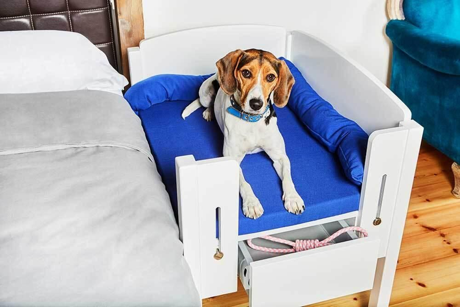 Beneficios de la cama colecho para perros