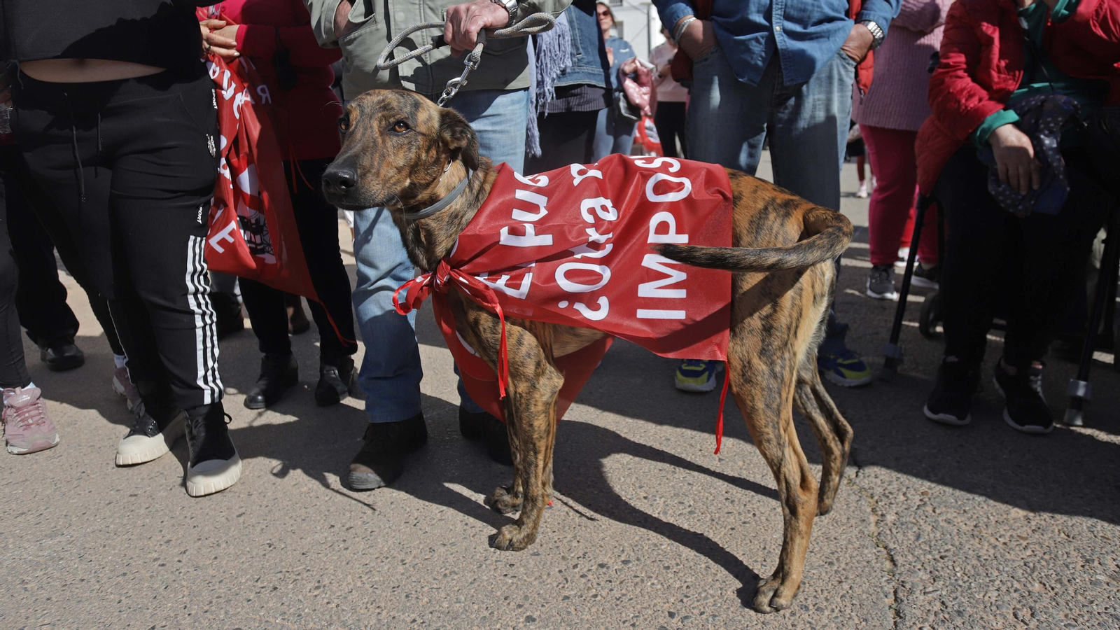 Fotos de la concentración contra la subestación eléctrica en Puente Mayorga