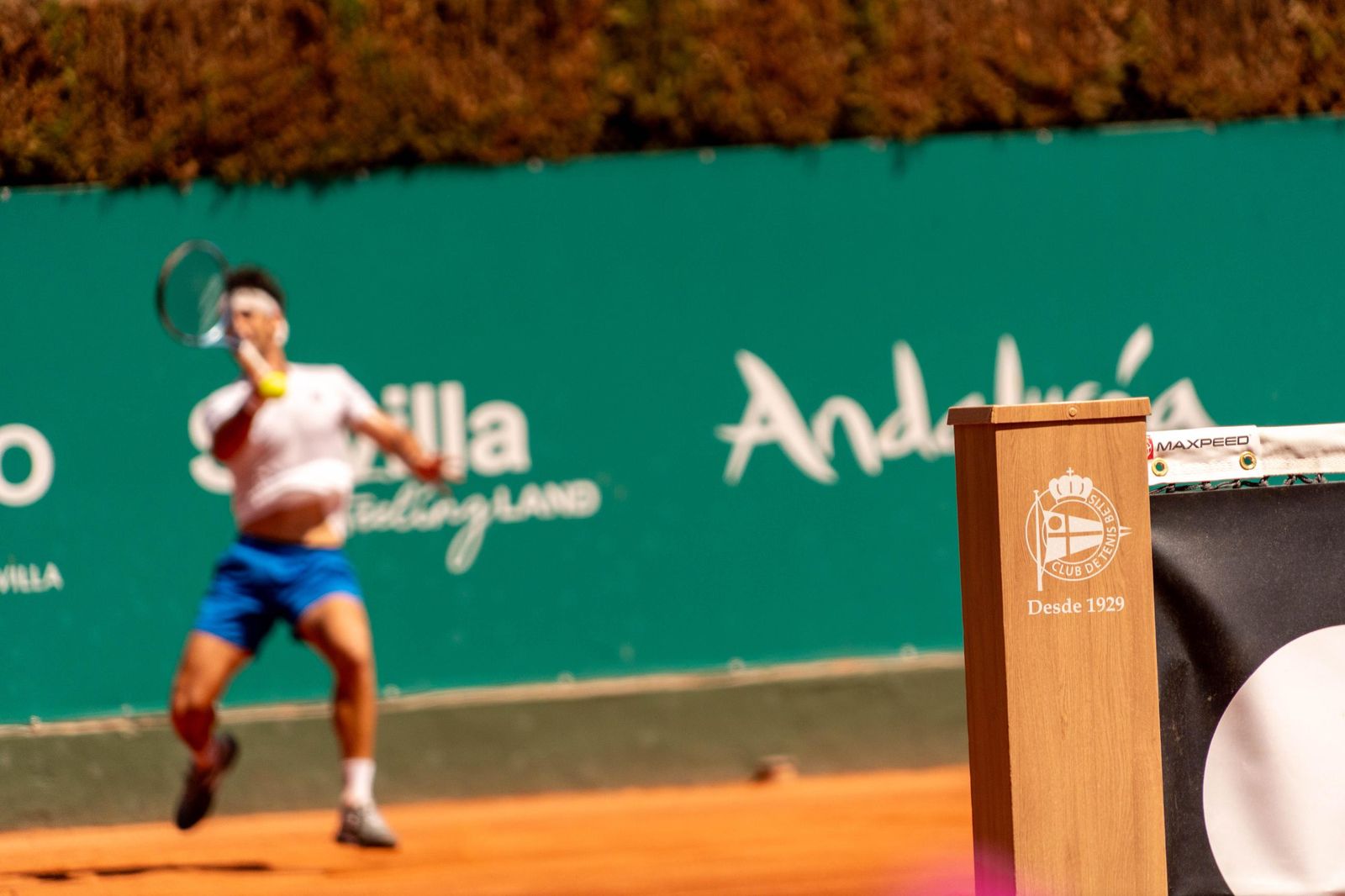 Buse - Taberner (13).jpg